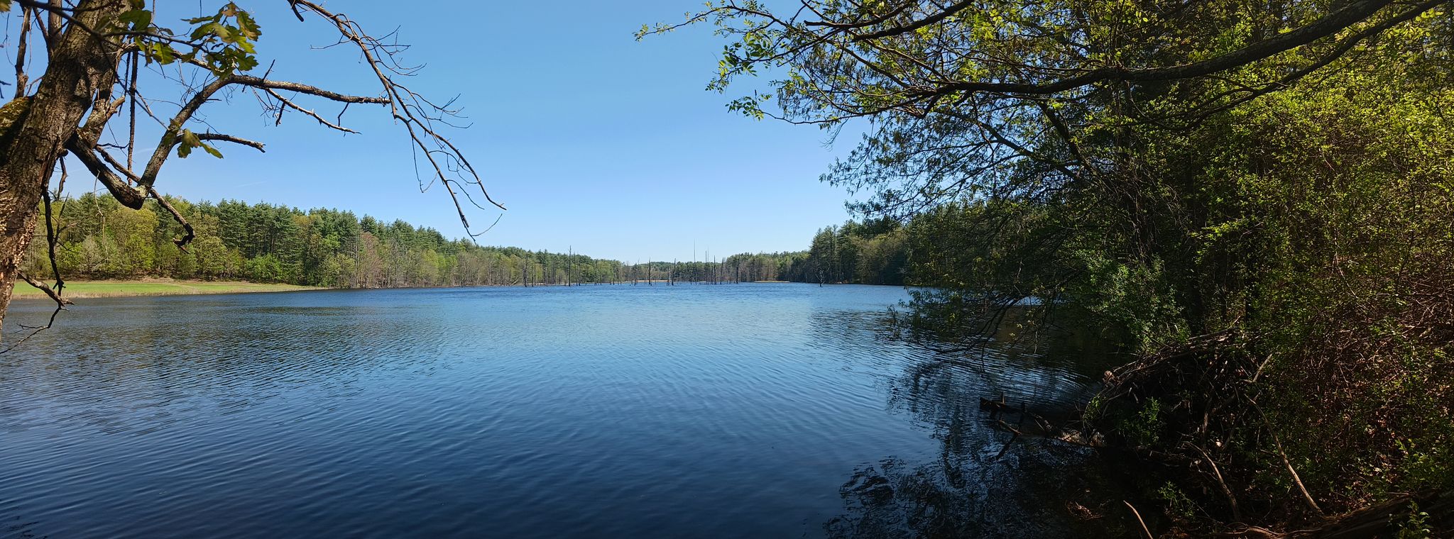 A calm lake surrounded by lush green trees under a clear blue sky. - Nashua River Rail Trail