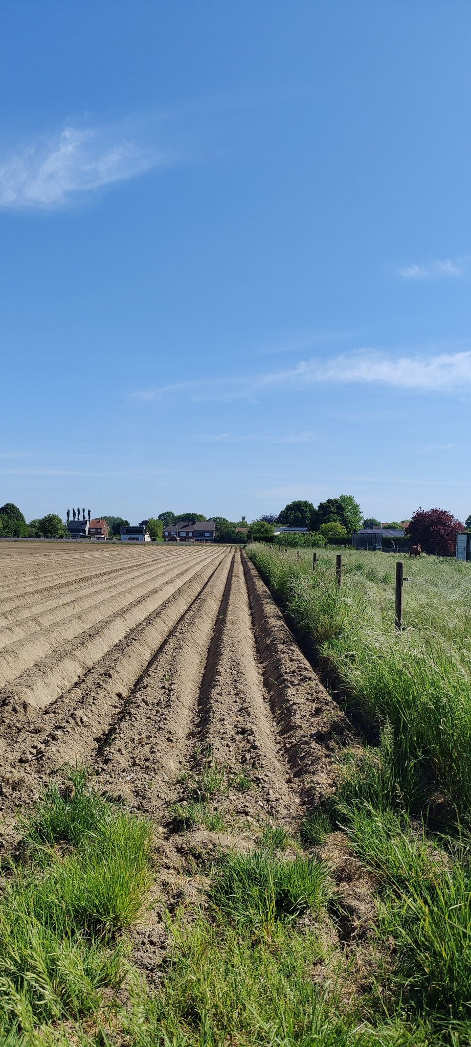 Schoondonk voetweg does not exist