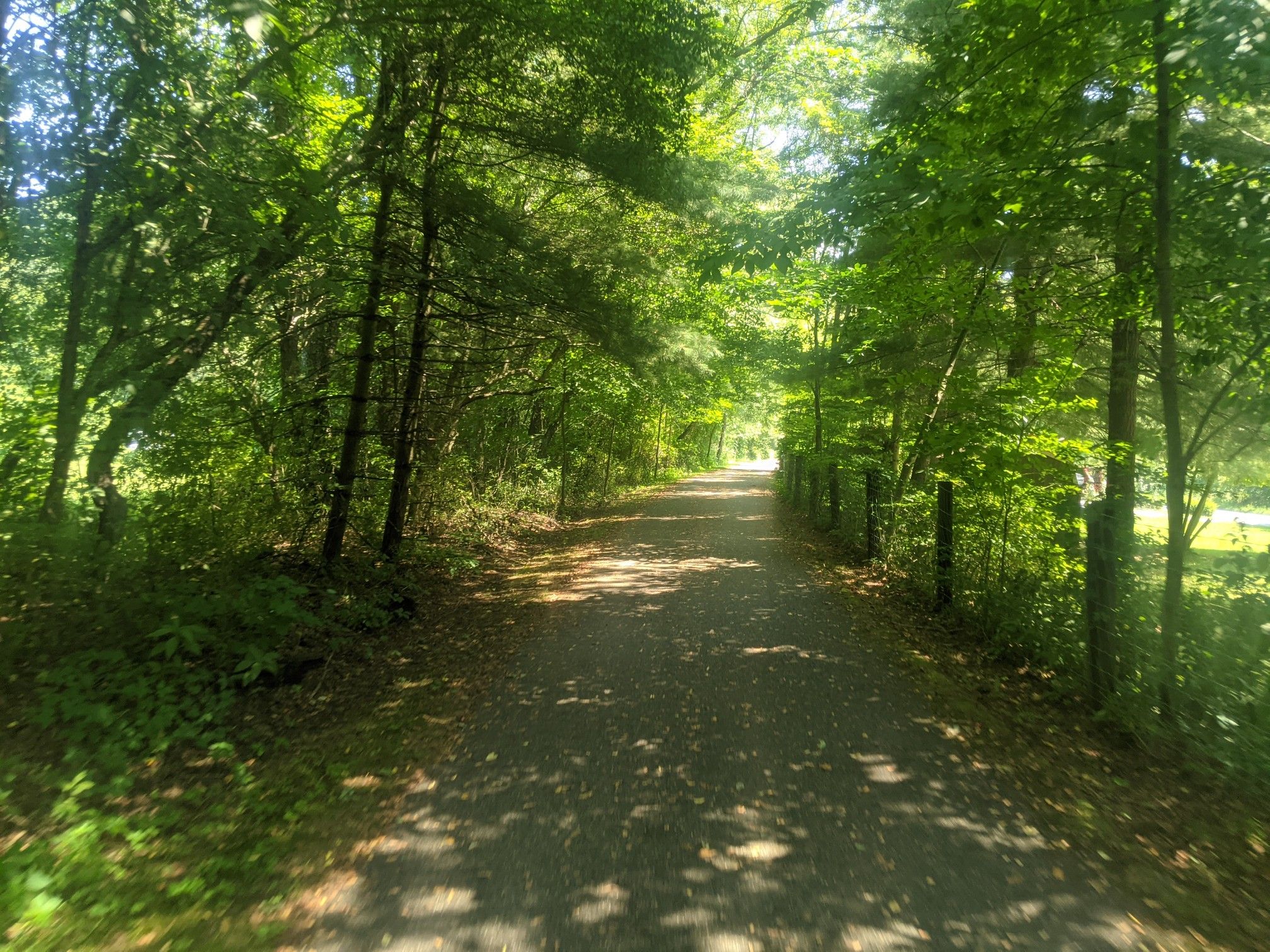 Dirt path winding through a sunlit green forest with a fence on the right. - Little Beaver Creek Greenway loop from Leetonia