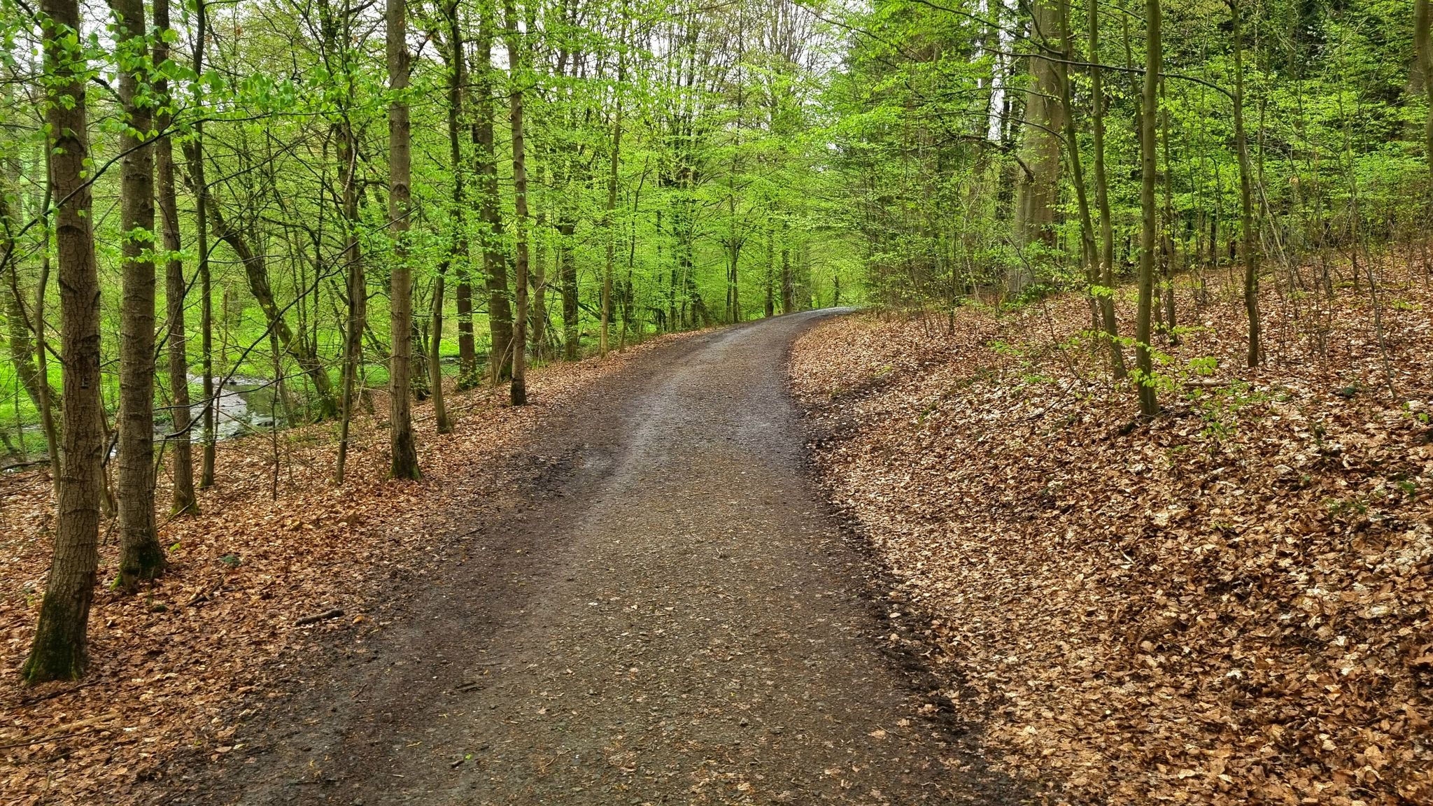 Inzwischen hatte Regen eingesetzt...