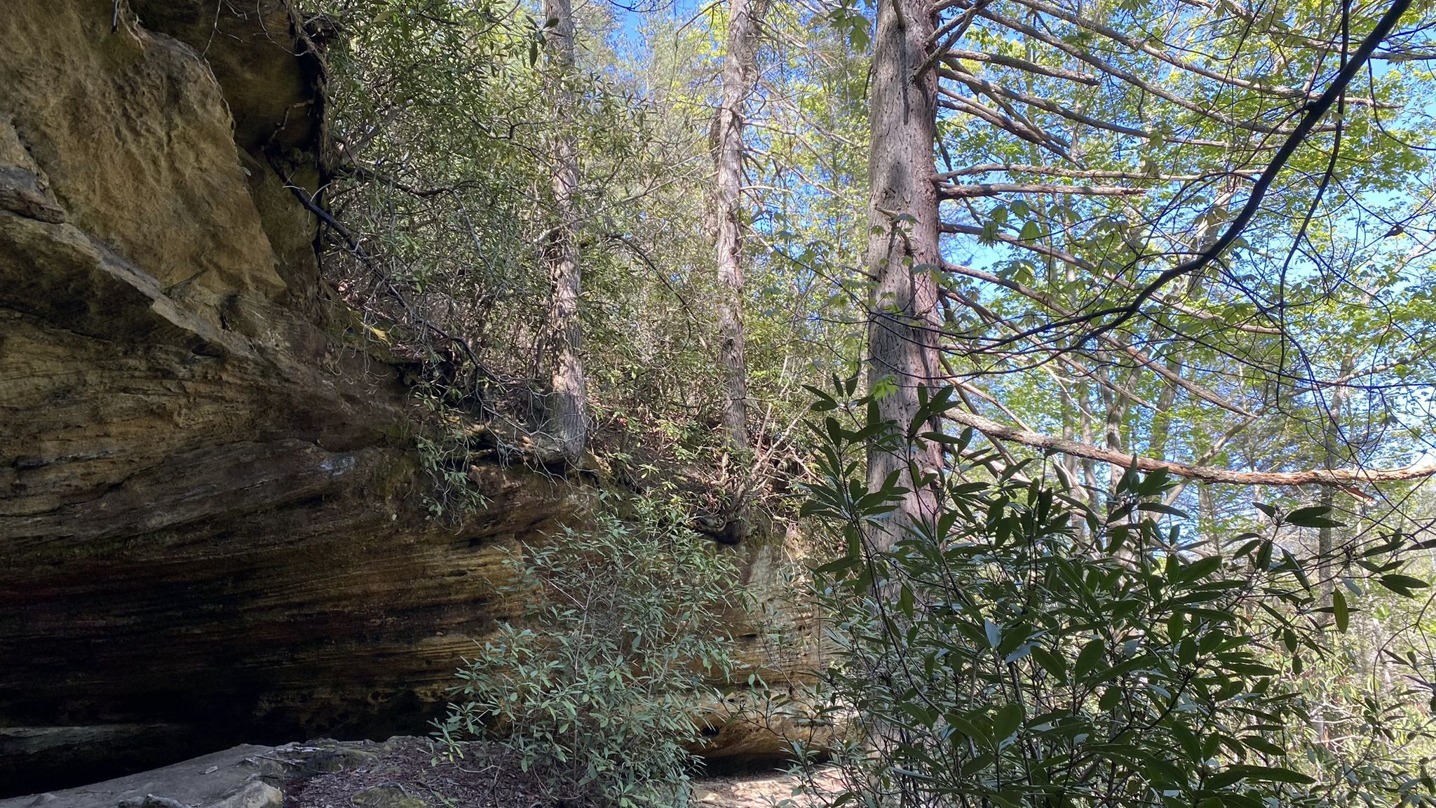 A large rocky overhang next to lush green forest on a sunny day. - Gray's Arch Trail #205