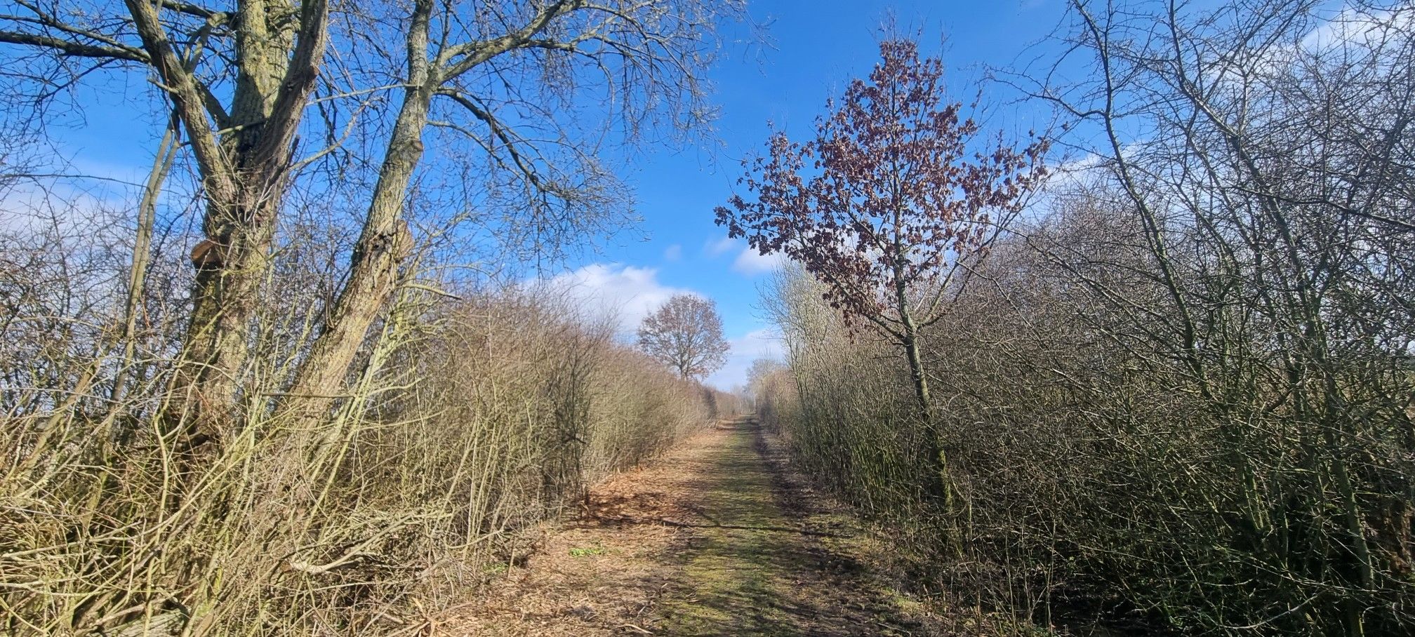 Bahntrasse Siebenbäumen – Berkenthin
