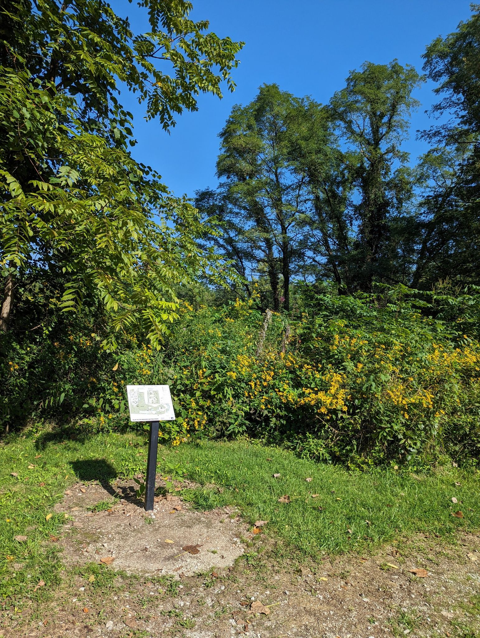 A small sign stands amidst lush green foliage under a clear blue sky. - Blacklick Woods Metro Park loop from Reynoldsburg