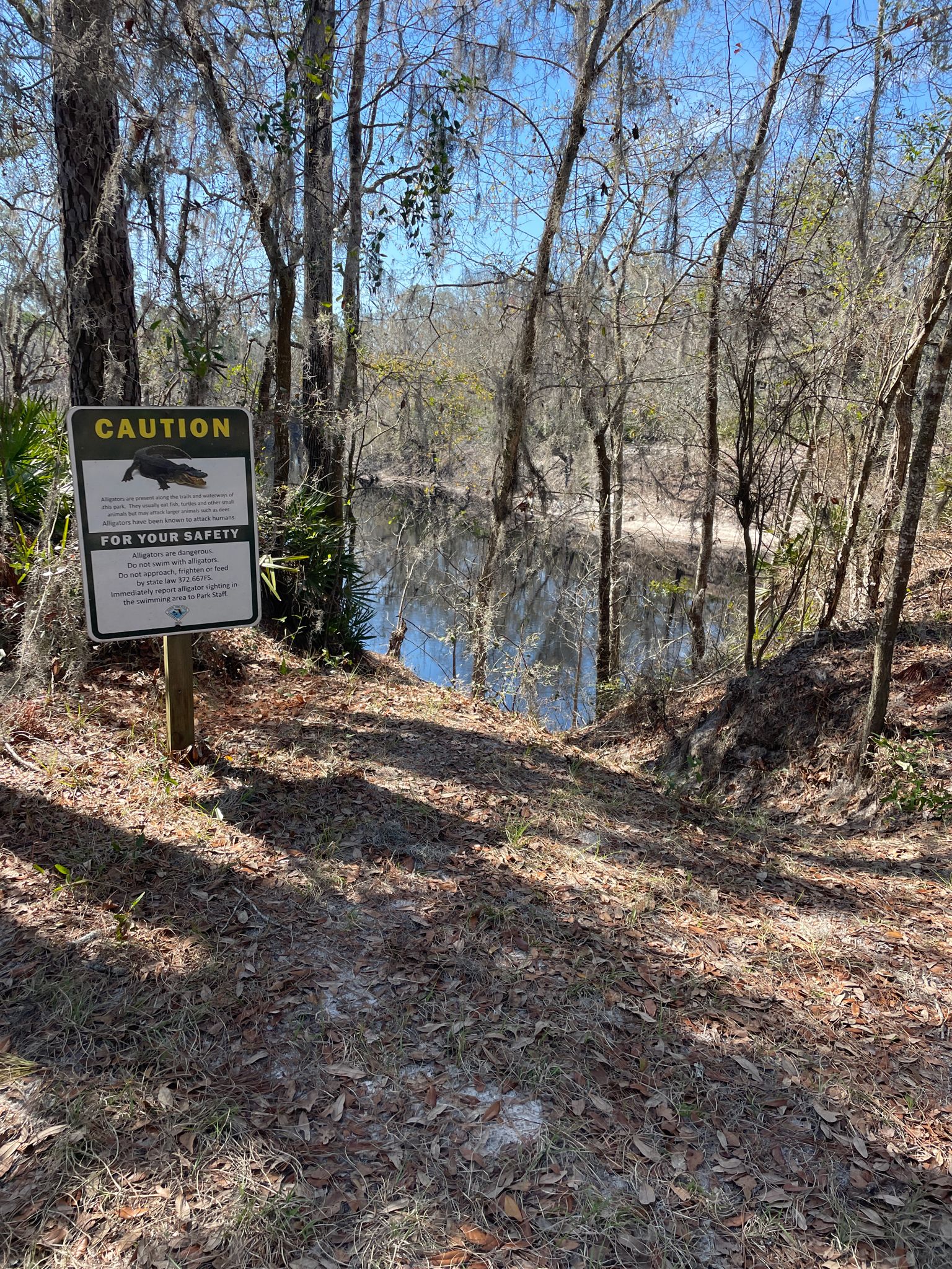 A caution sign stands by a sunny, wooded riverbank with mossy trees. - Suwannee River – Carillon Tower loop from Stephen Foster Folk Culture Center State Park