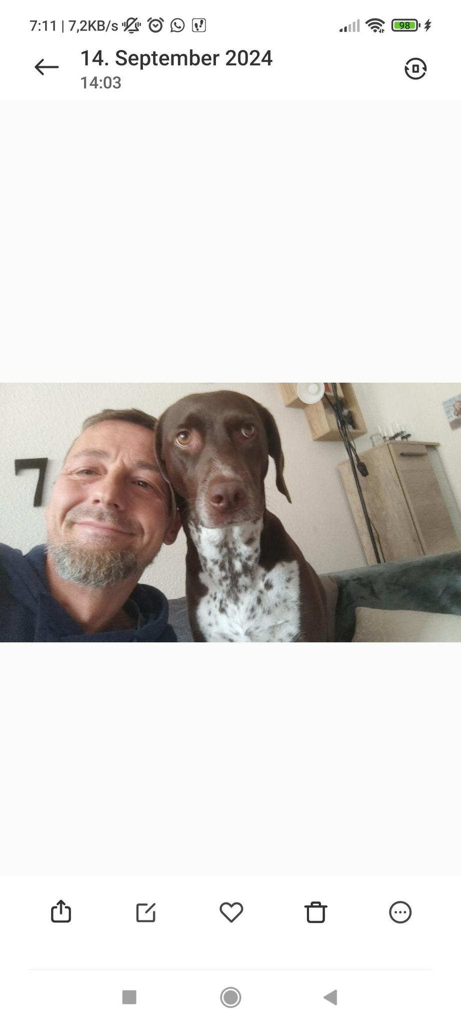 user avatar