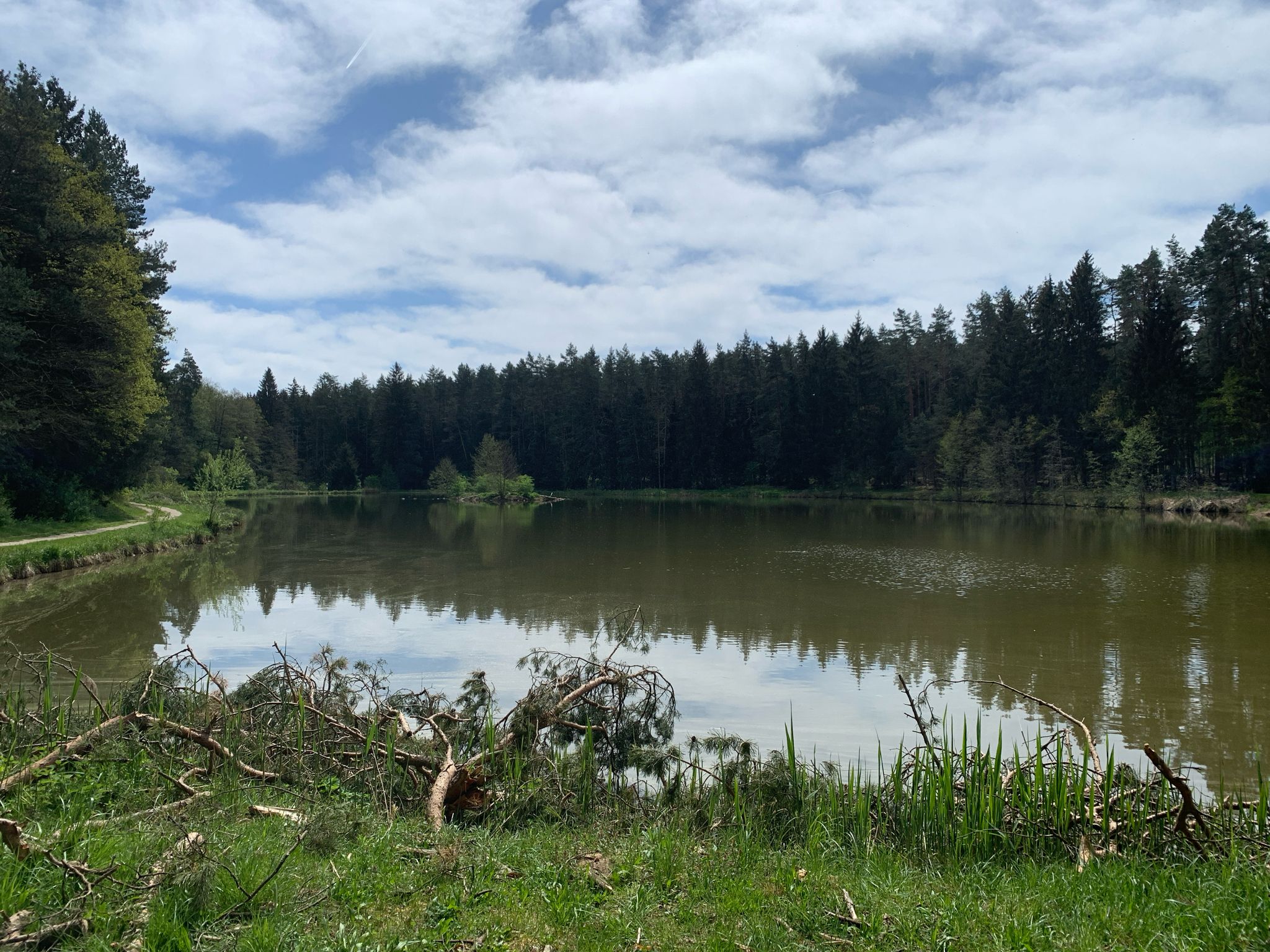 Schmaußweiher