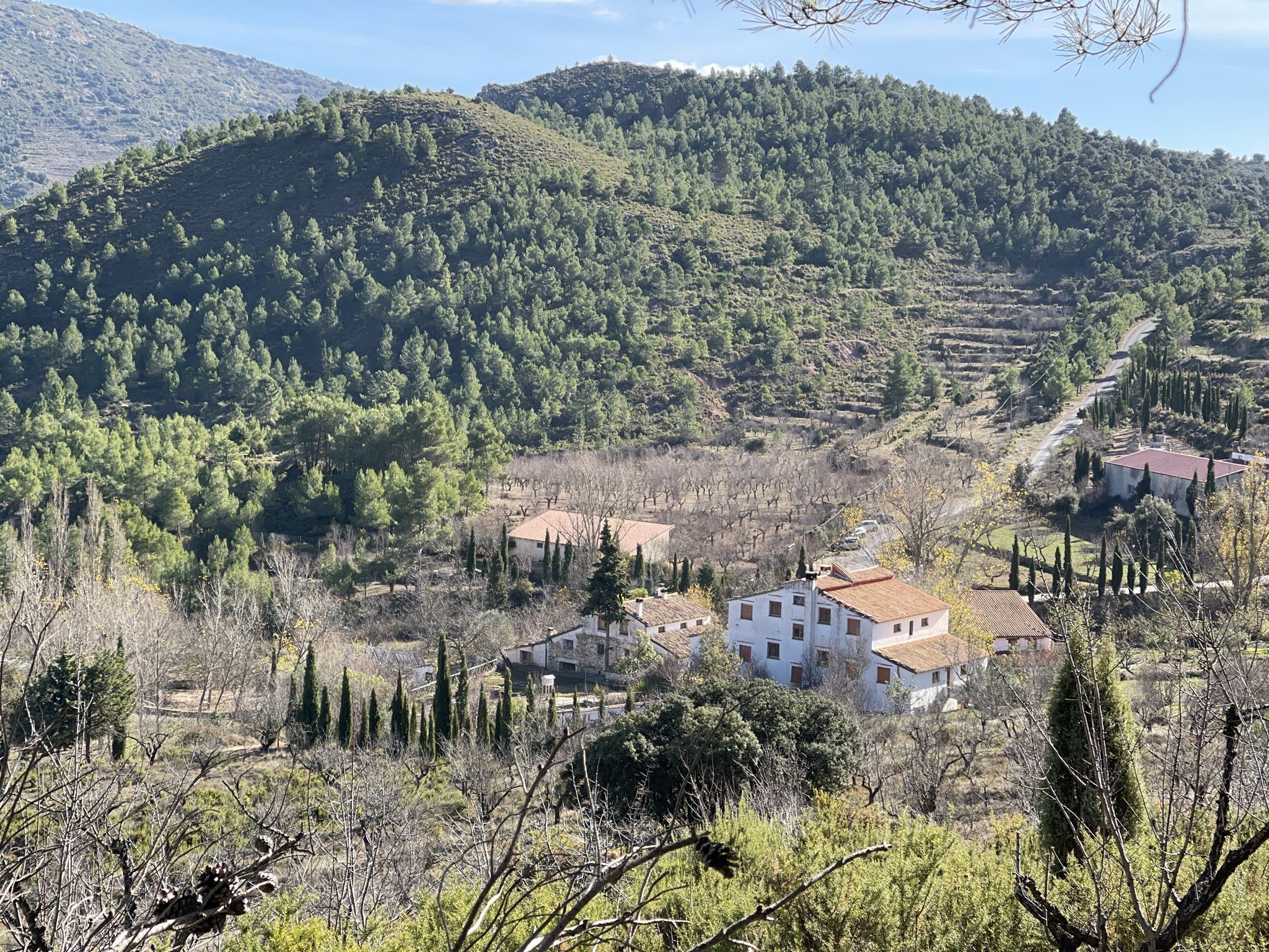 Mas de Noguera