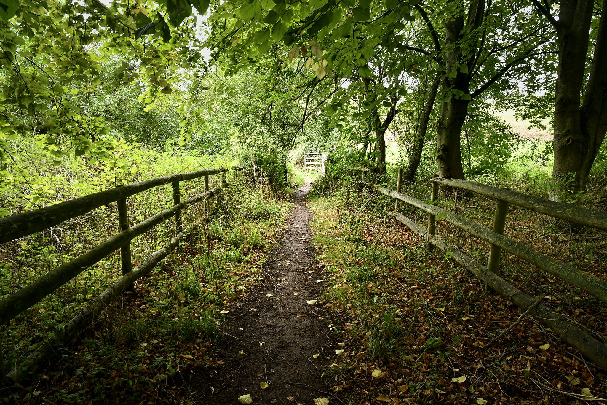 Handrail path
