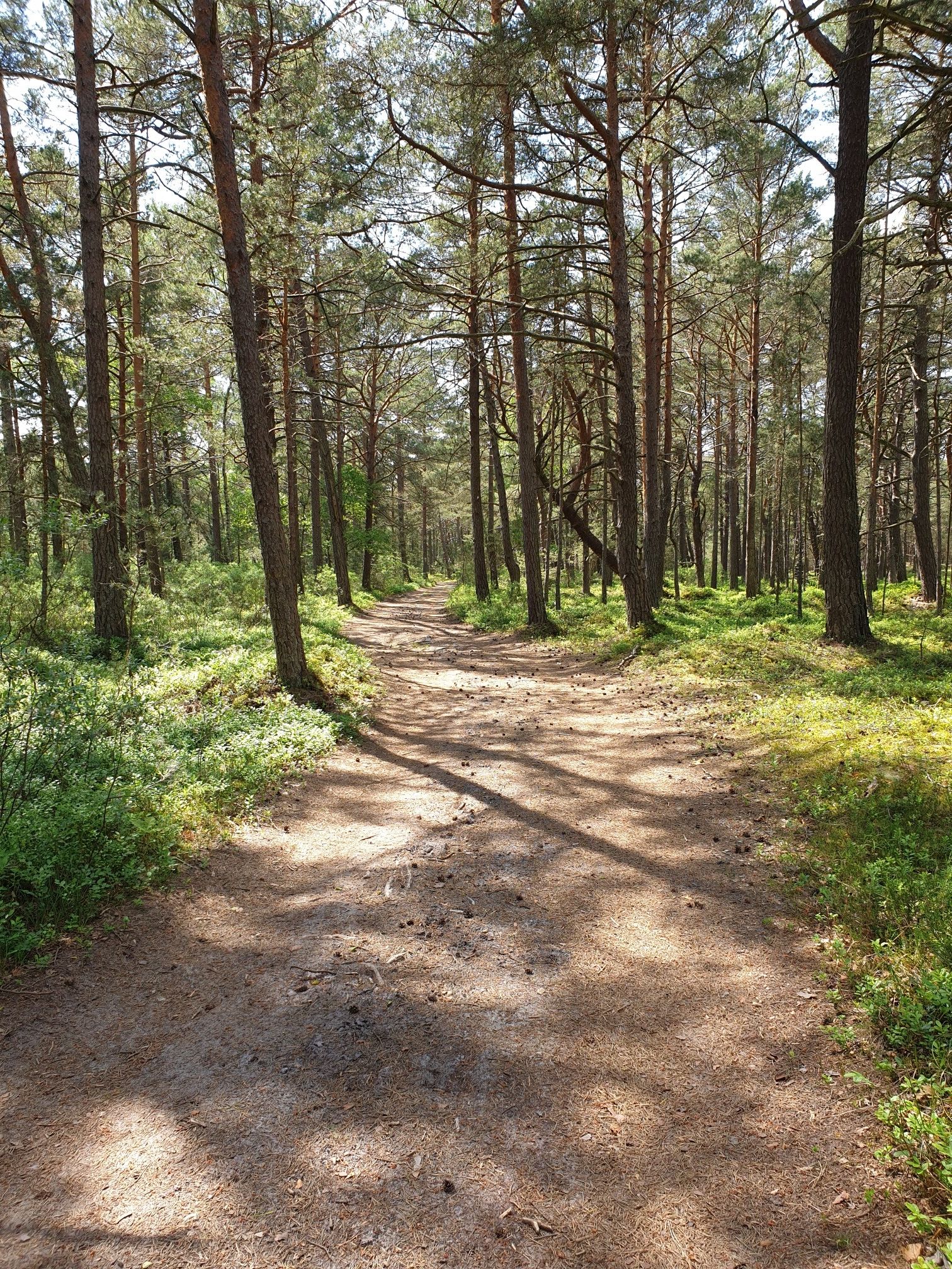 mittendrin im Naturpark (Reservat), wie scön, dass die Radfahrer hier rein dürfen :-)