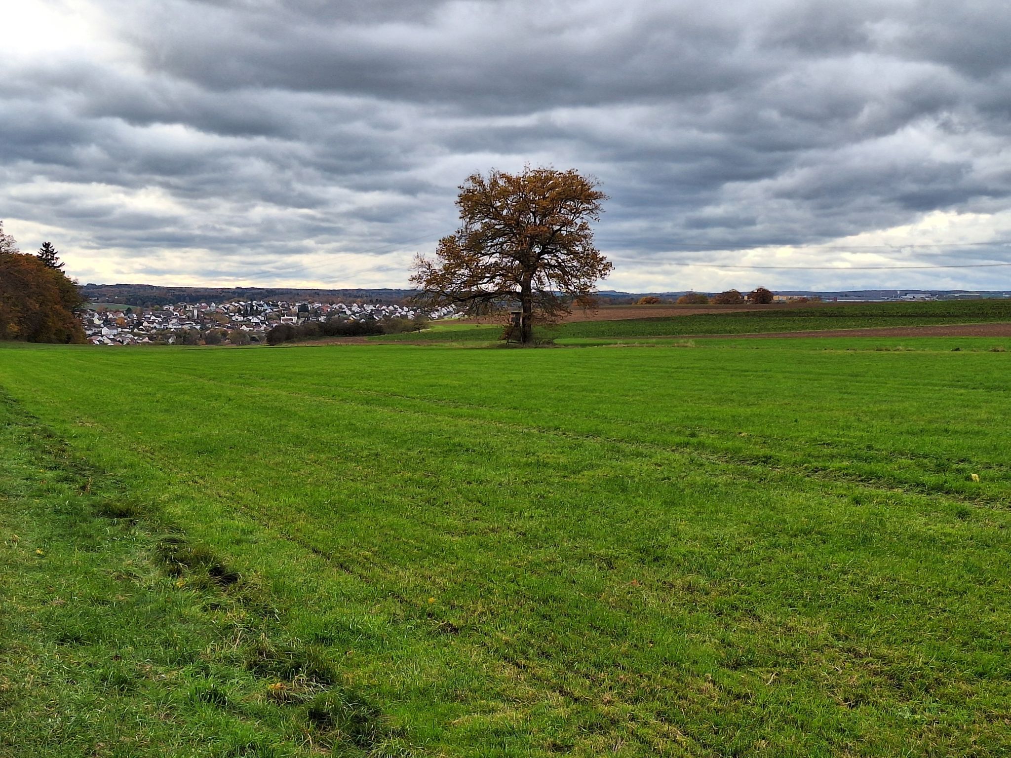 Blick Richtung Hermaringen🏘️