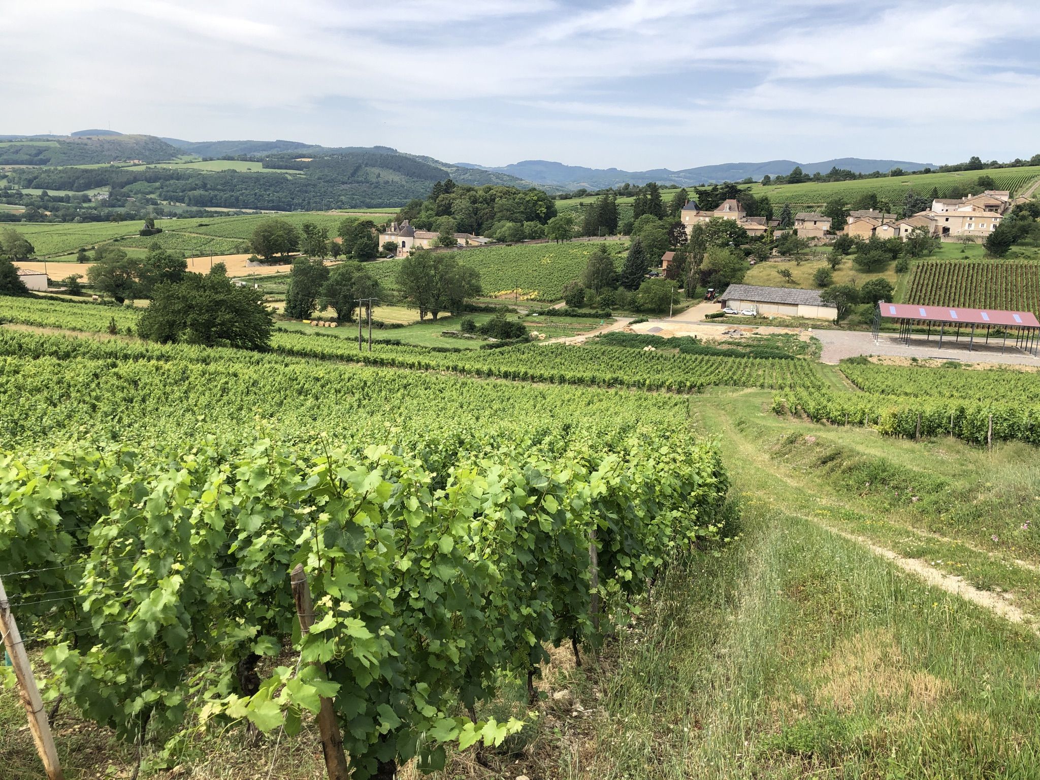 Blick auf Chateau de Montceau 