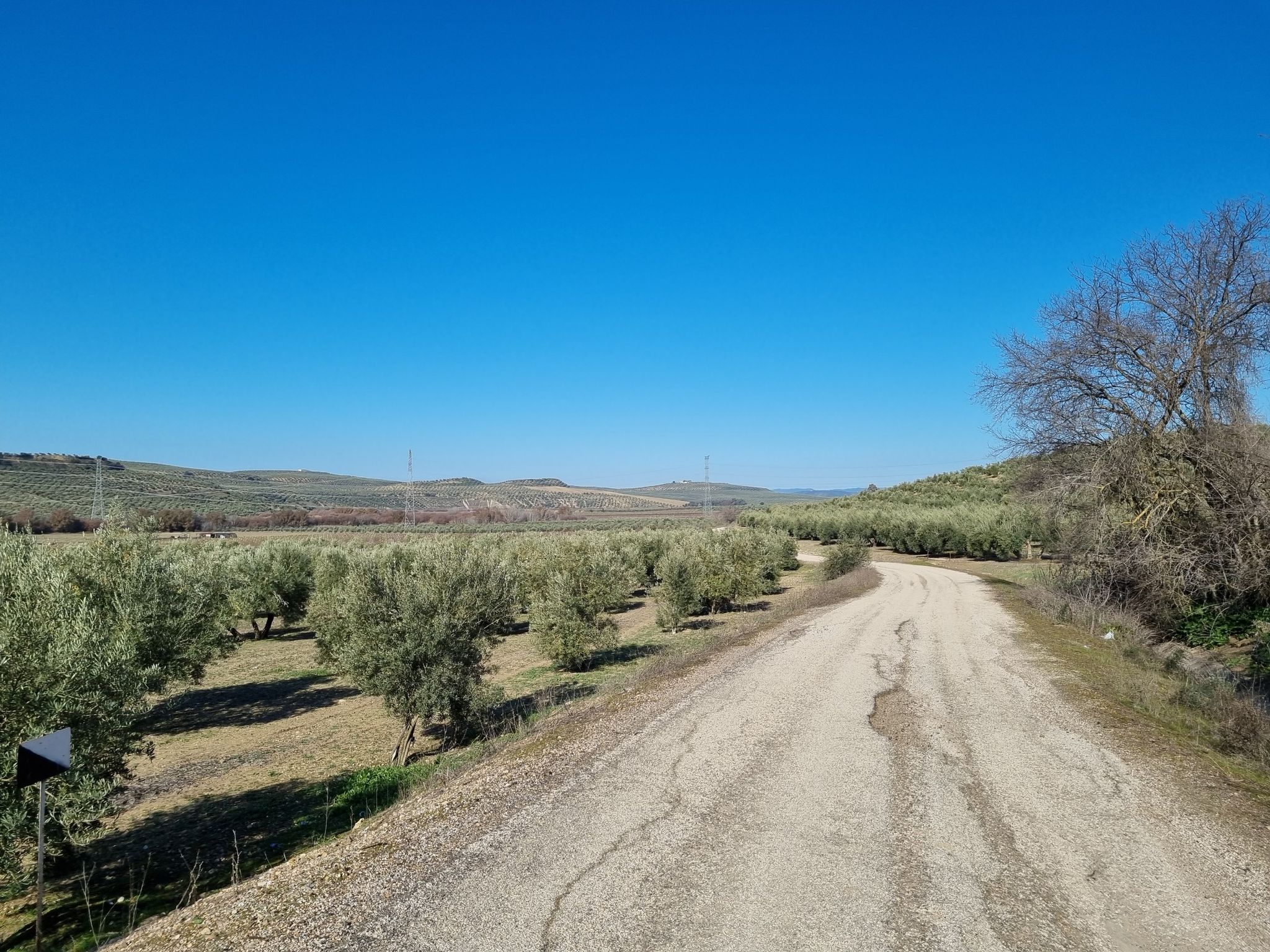 La Vega