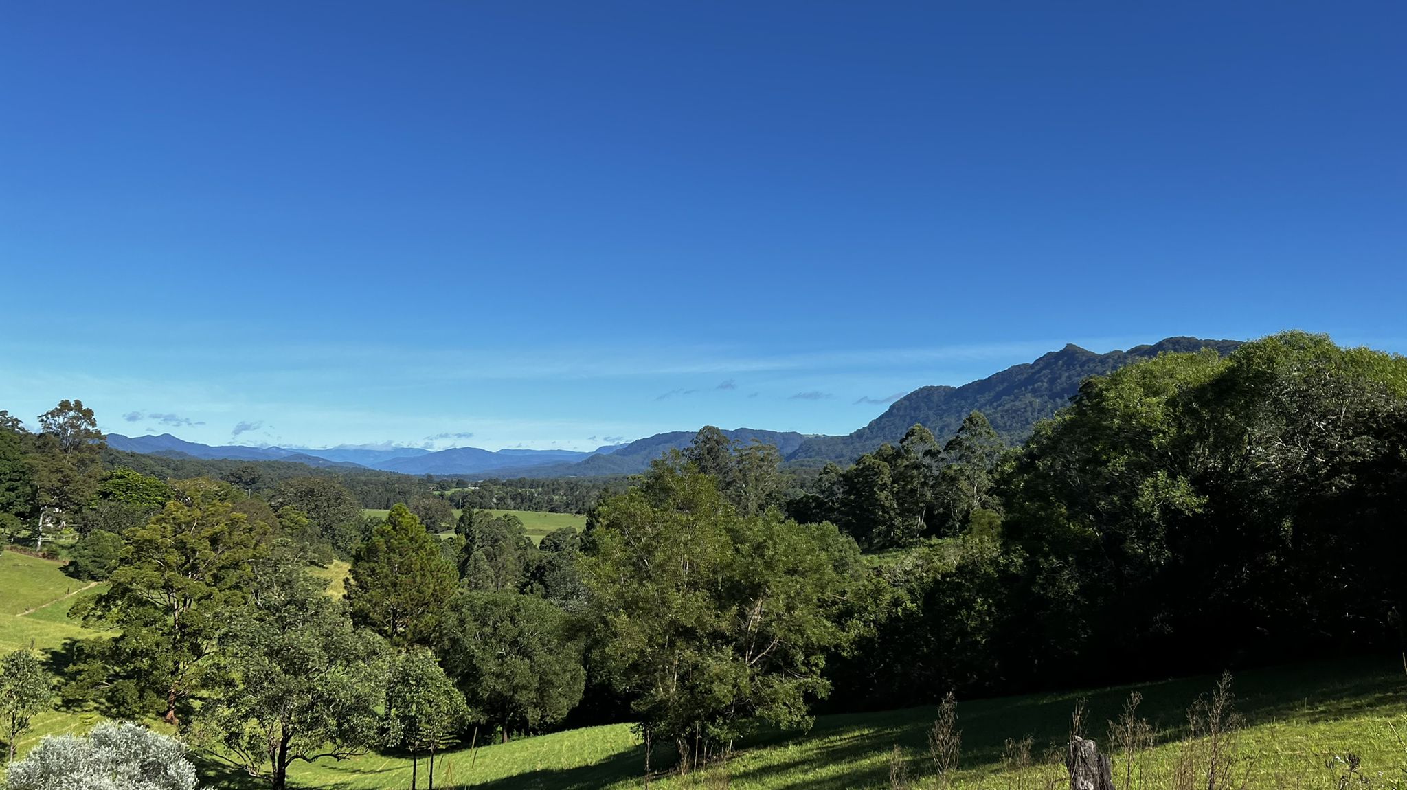 View towards Durango