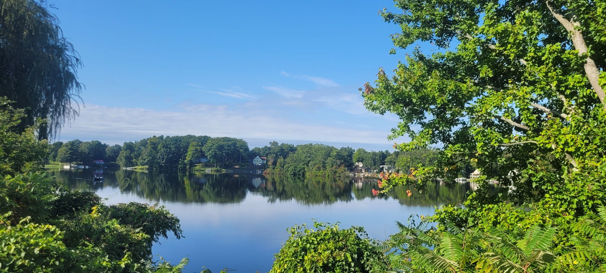 Serene lake framed by vibrant green trees under a clear blue sky. - Nassau Lake – Views of Nassau Lake loop from Rensselaer