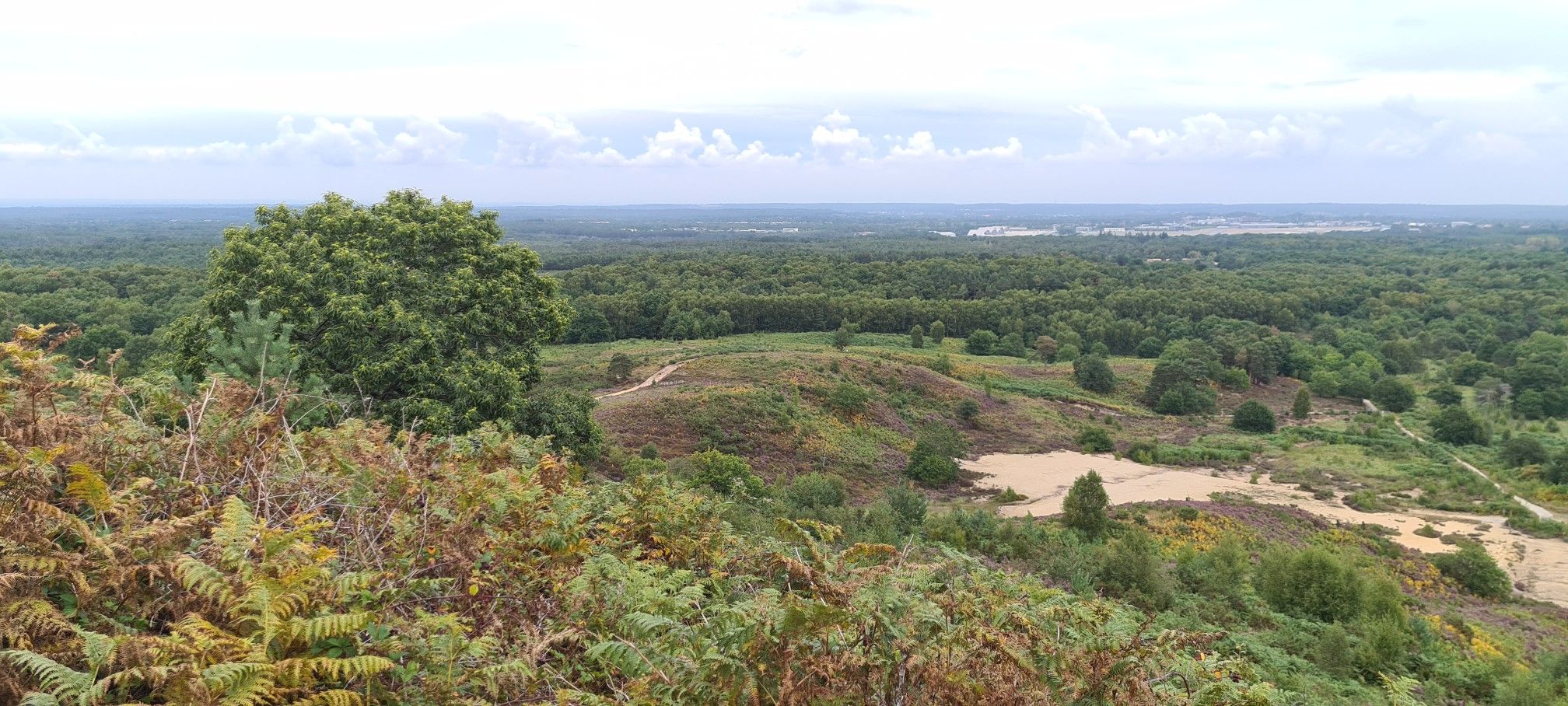 steep climb but amazing view at the top