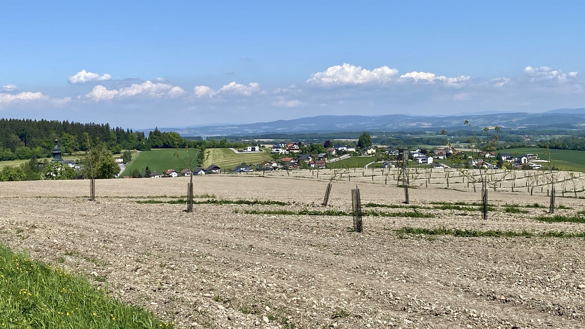 Taiskirchen: in der Senke & am Hang