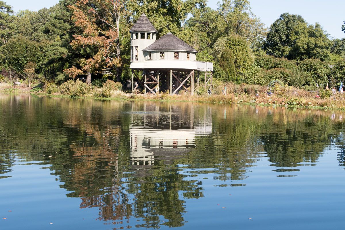 A small, elevated house with a tower reflected in calm water, surrounded by trees. - Woodland Walk