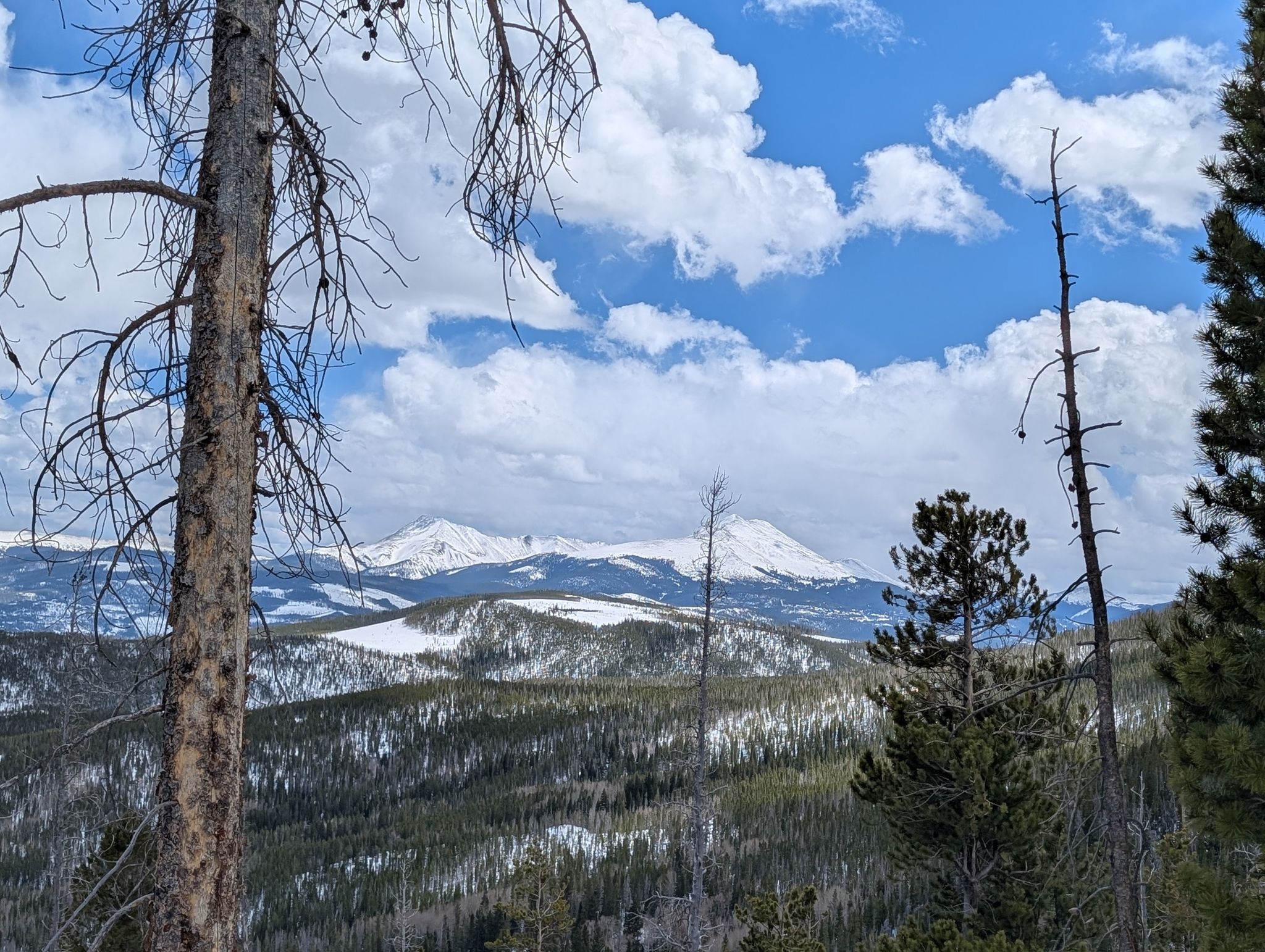 Snow-capped mountains and forested slopes under a partly cloudy sky. - Mount Royal Loop