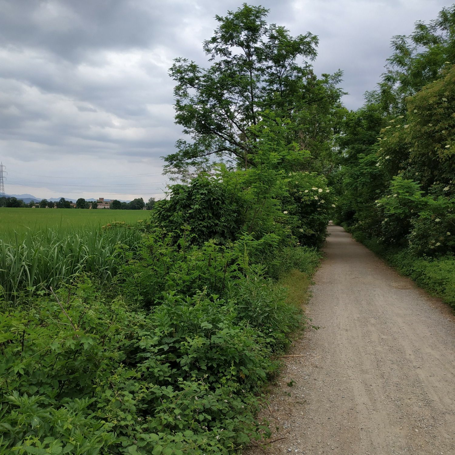 Ritorno dalla ciclabile del Serio verso il Castello