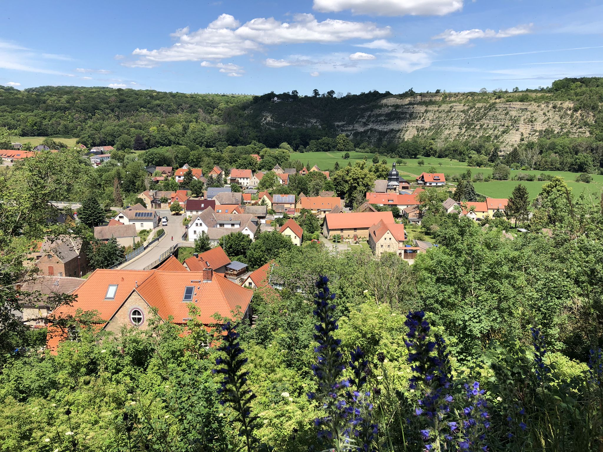 Blick auf Saaleck