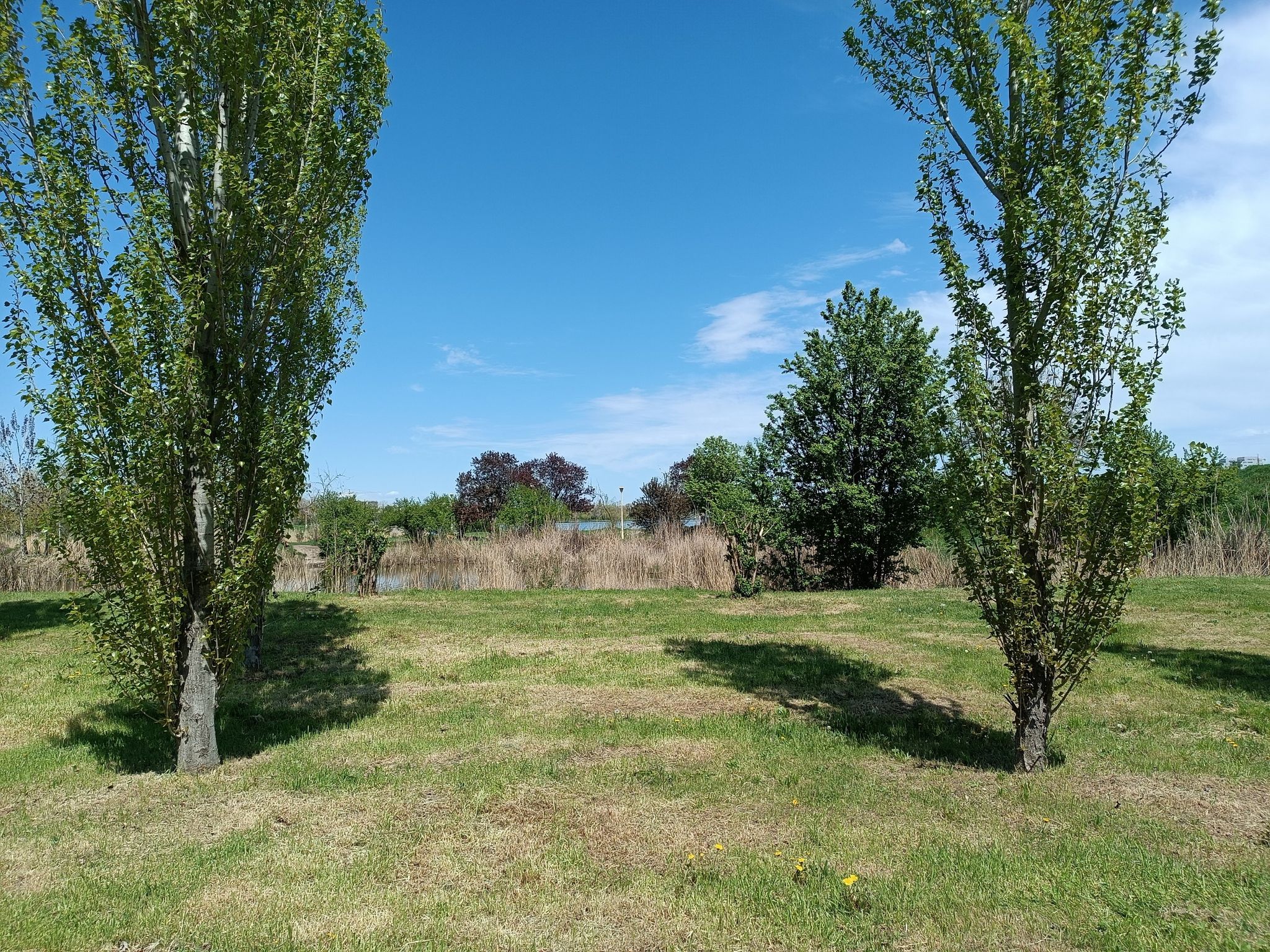 zona verde