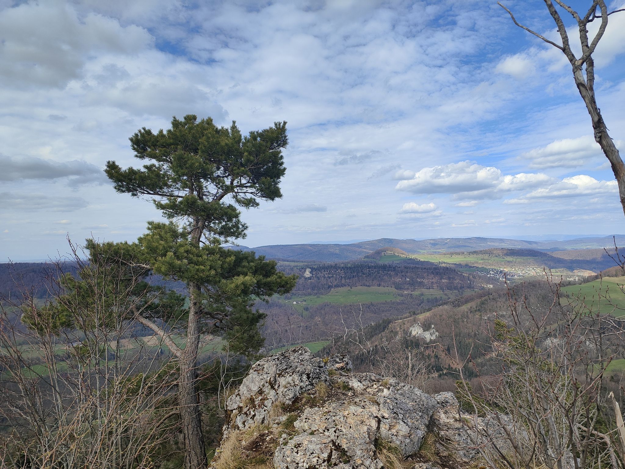 Les Vosges 