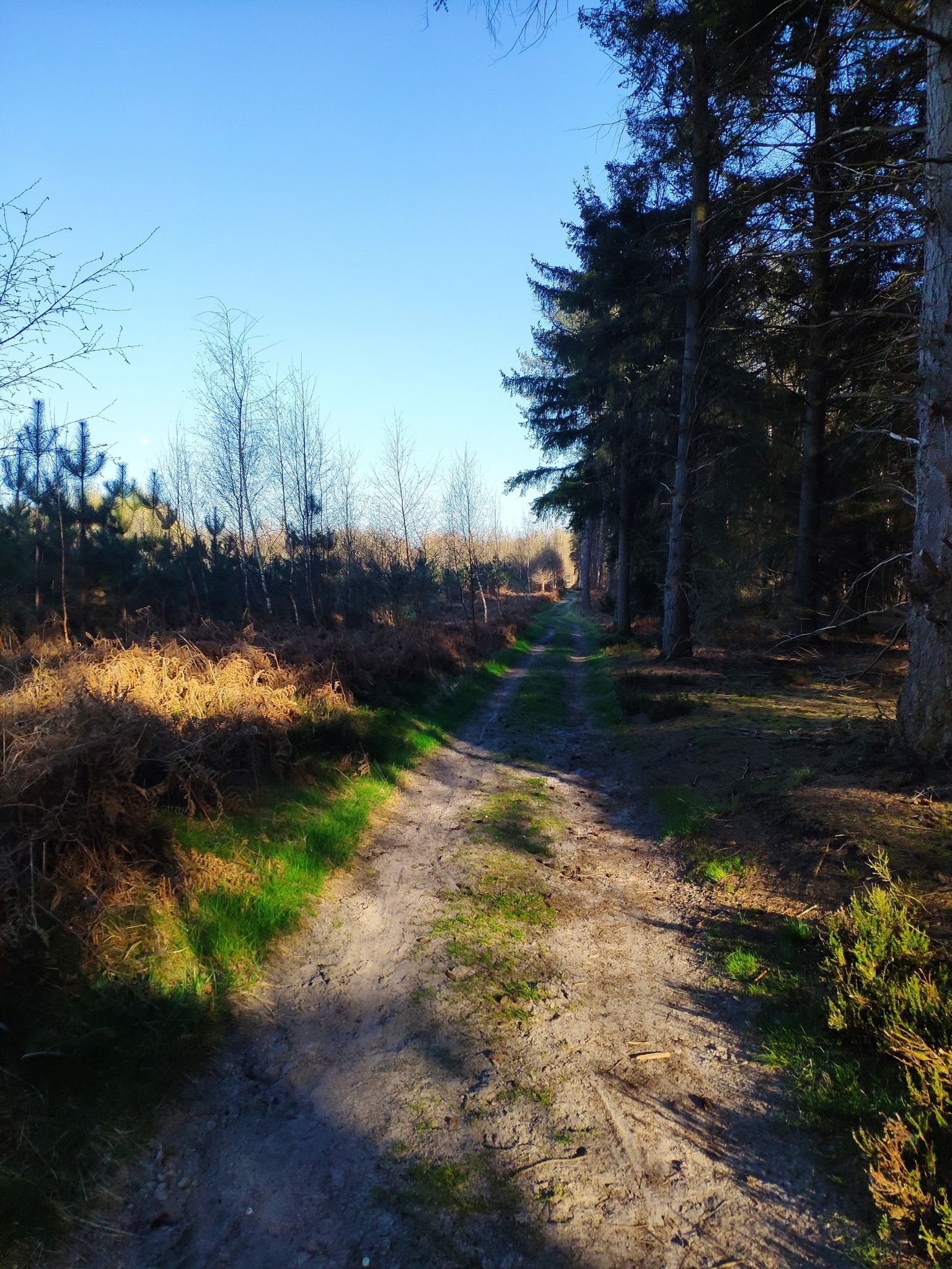 chemin rural de la croix rouge