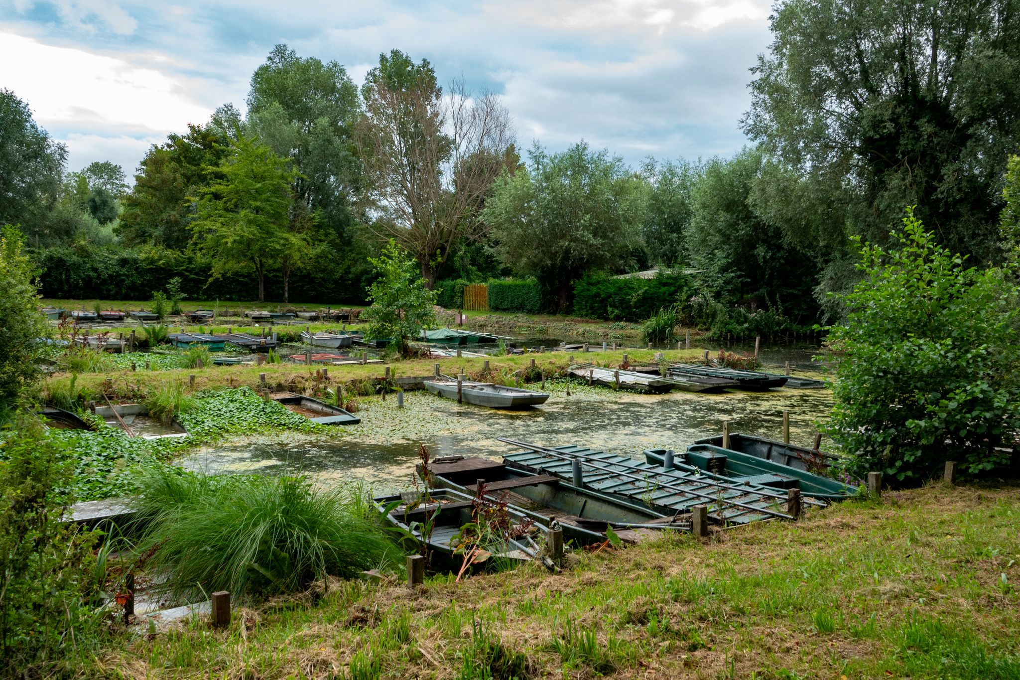 Etangs communaux d'Arleux