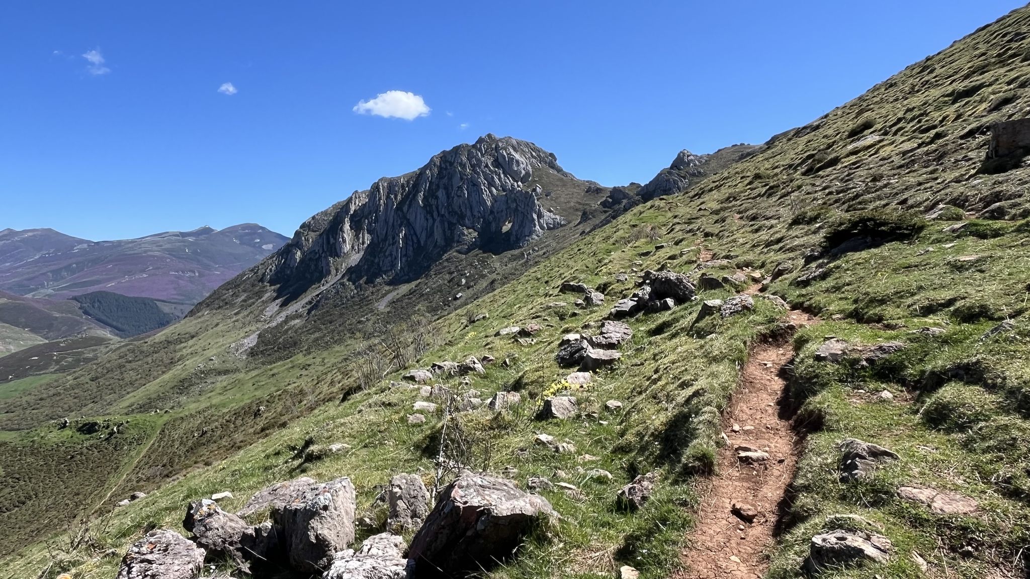 Sendero estrecho