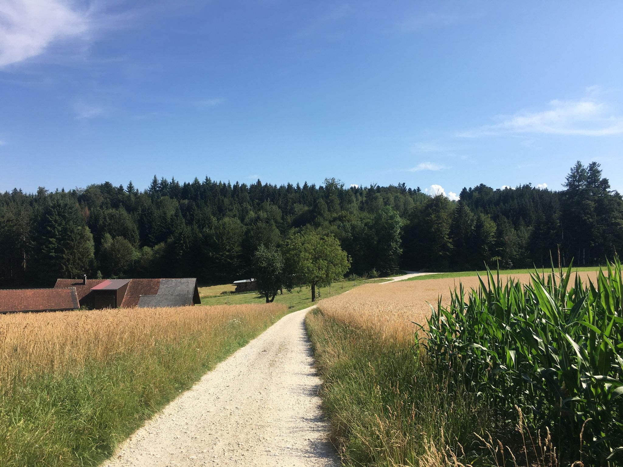Neuhof