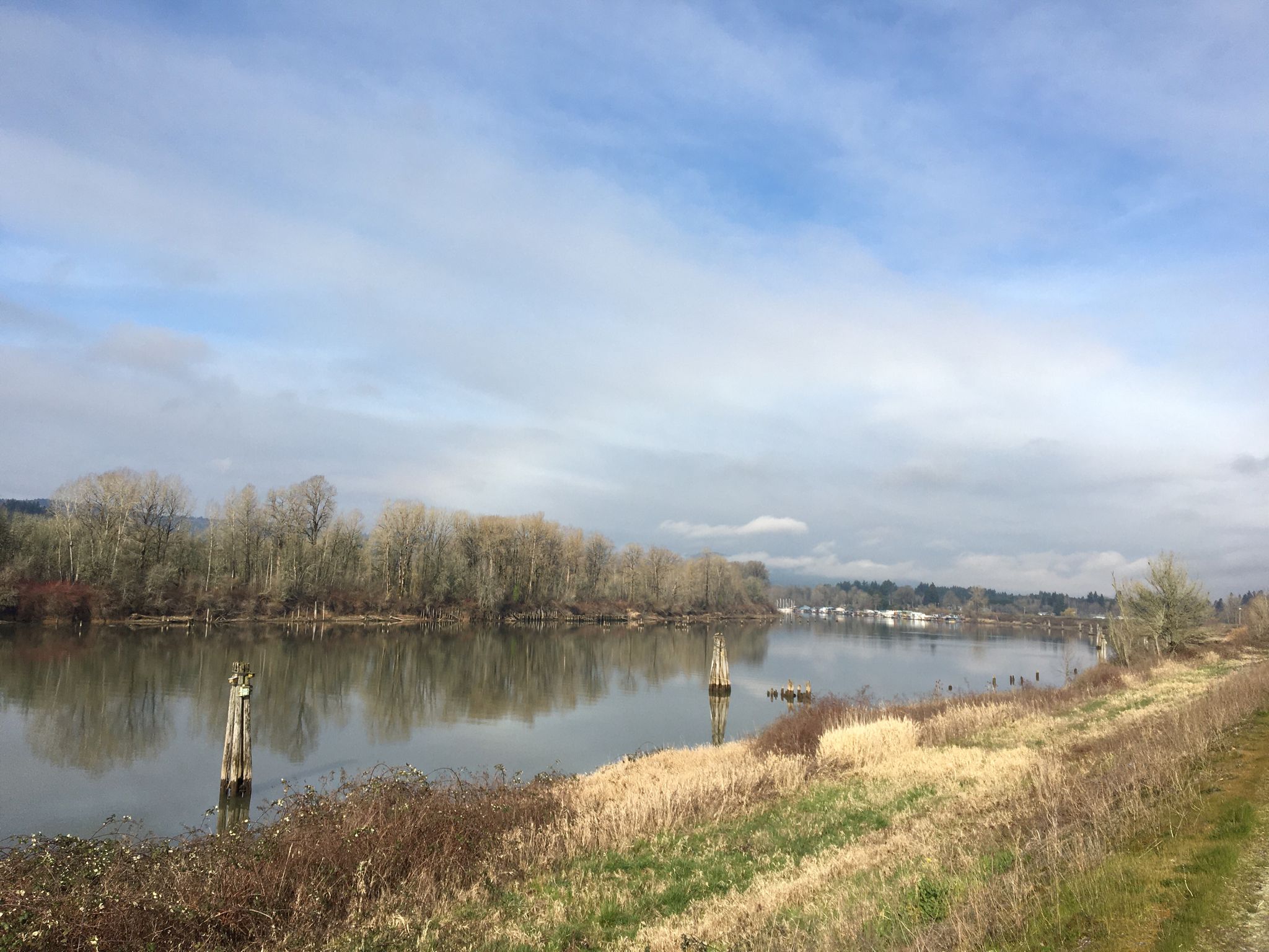 Wide river with reflections, forested banks, and a cloudy sky. - Sturgeon Lake loop from Wapato Bridge