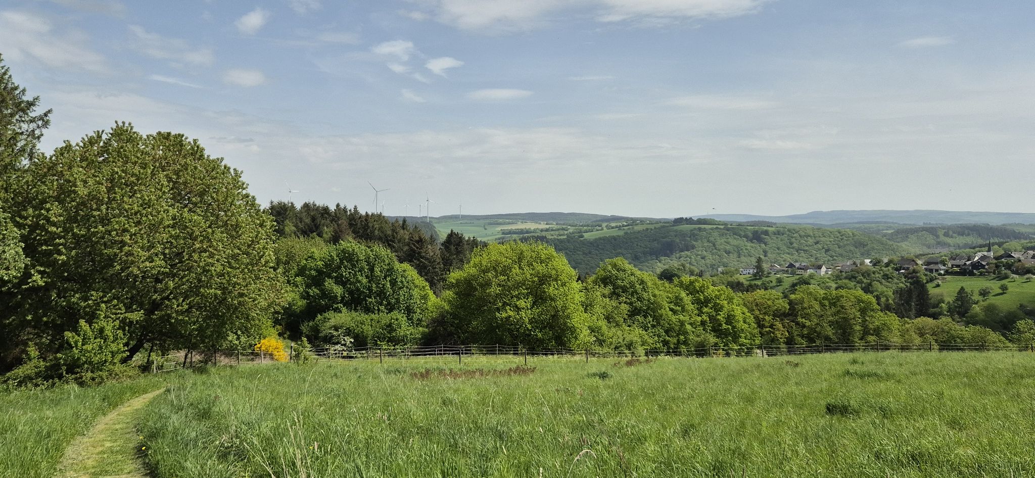 Genussvoll und komoot auf einem Wiesenpfad