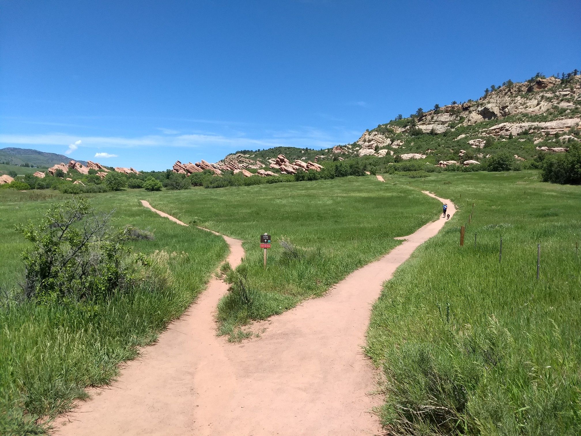 A sunny fork in a dirt trail through green fields and rocky hills. - Grazing Elk Trail loop from Classification Natural Resource Protection