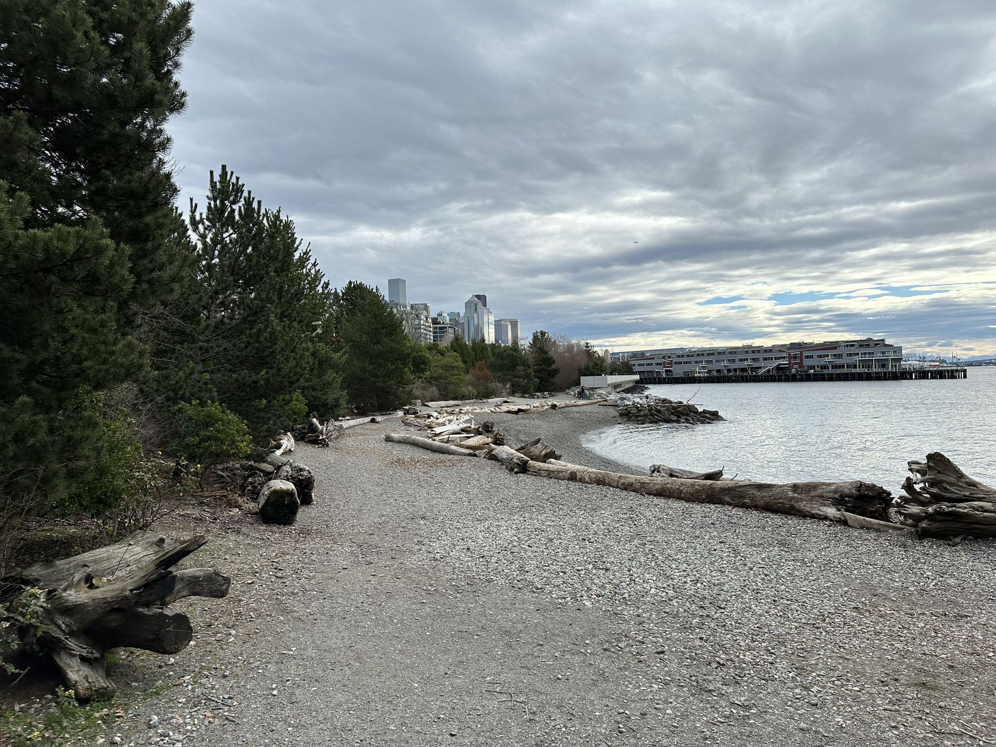 Gravel beach with driftwood, trees, distant city, and calm water under cloudy sky. - Elliott Bay Trail
