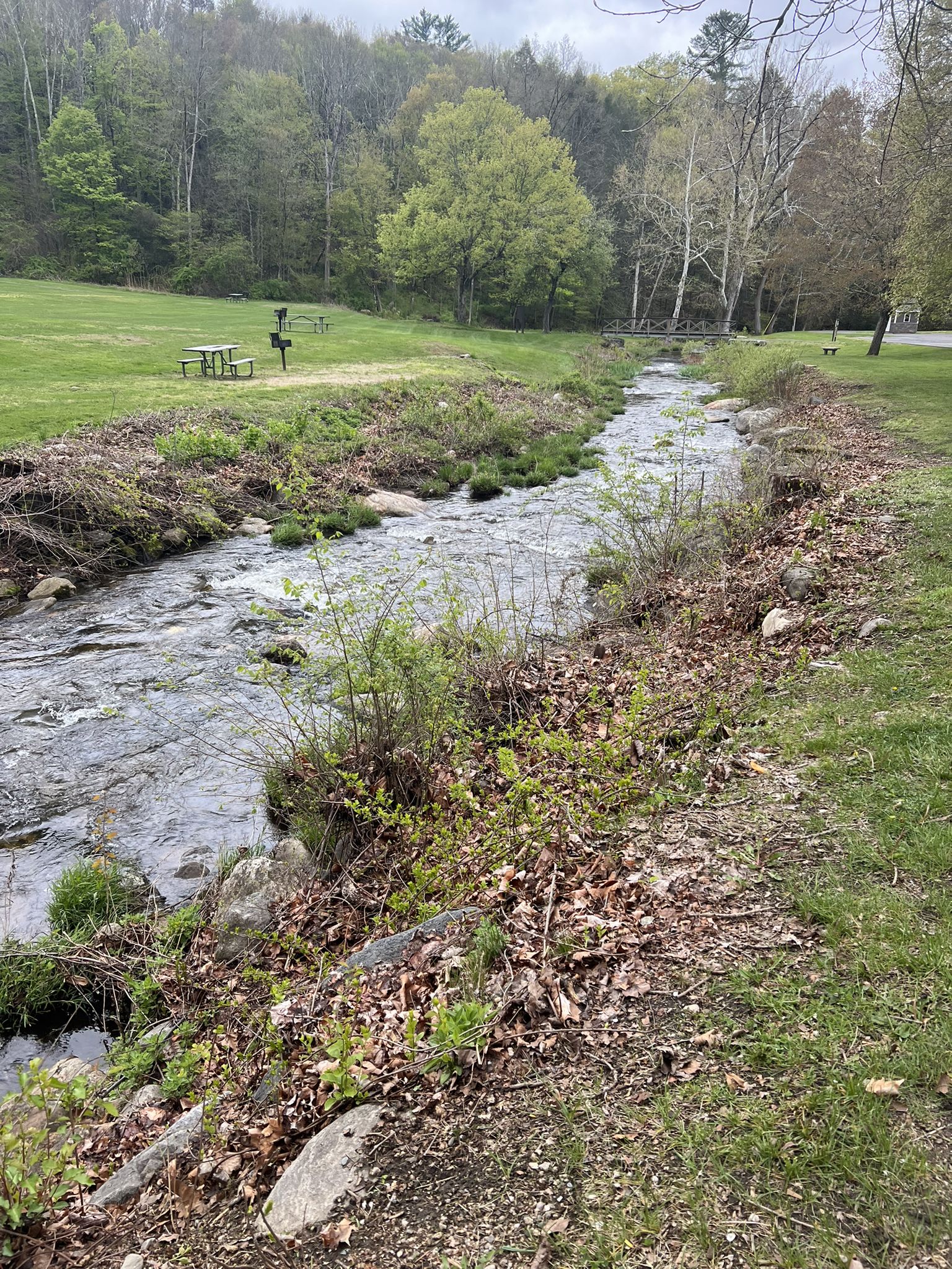 A narrow stream flows past a grassy park with picnic tables and trees. - Kent Falls Red and Yellow Loop Trail