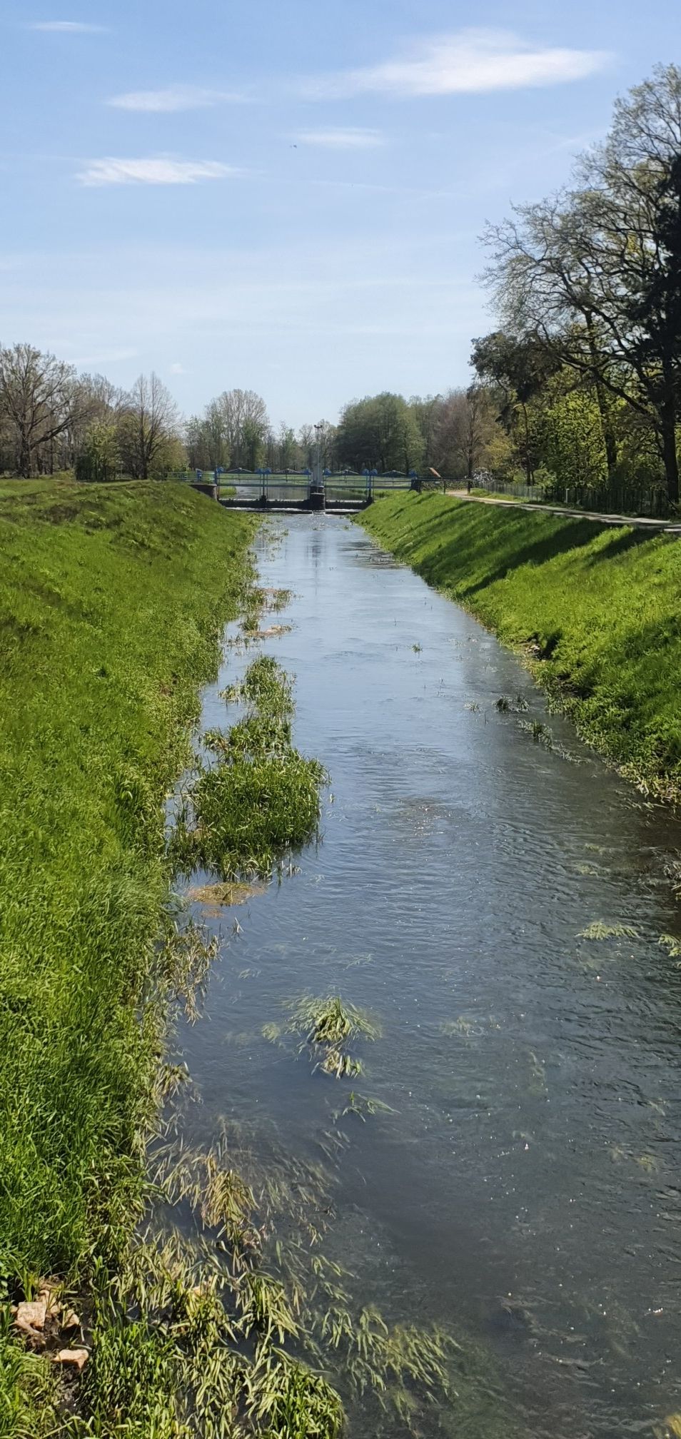 Geißlitz ( Röderkanal)