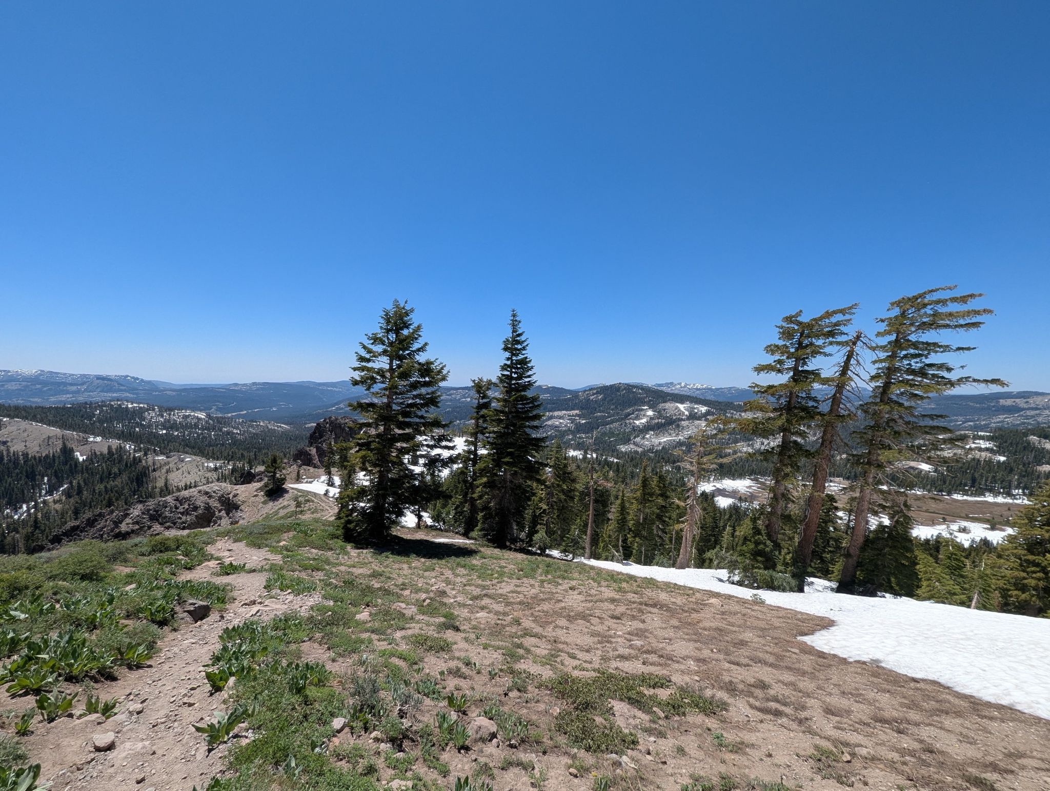 Mountain vista with pine trees, snow patches, and a clear blue sky. - Summit Lake, Frog Lake Overlook, and Basin Peak via PCT Loop