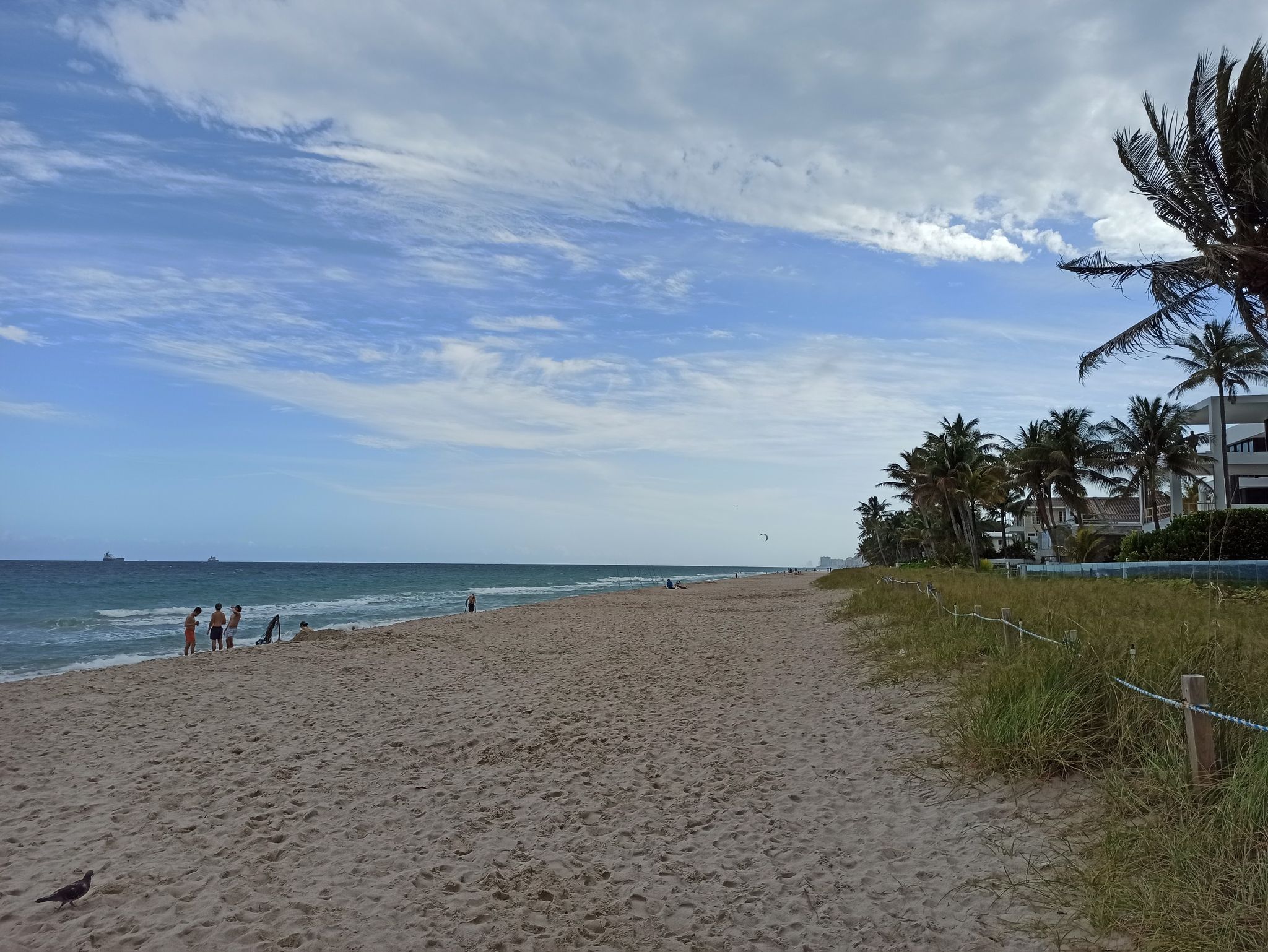 Sandy beach with ocean waves, distant people, and palm trees under a cloudy sky. - Jungle Queen Riverboat – Las Olas Beach loop from Pier 1