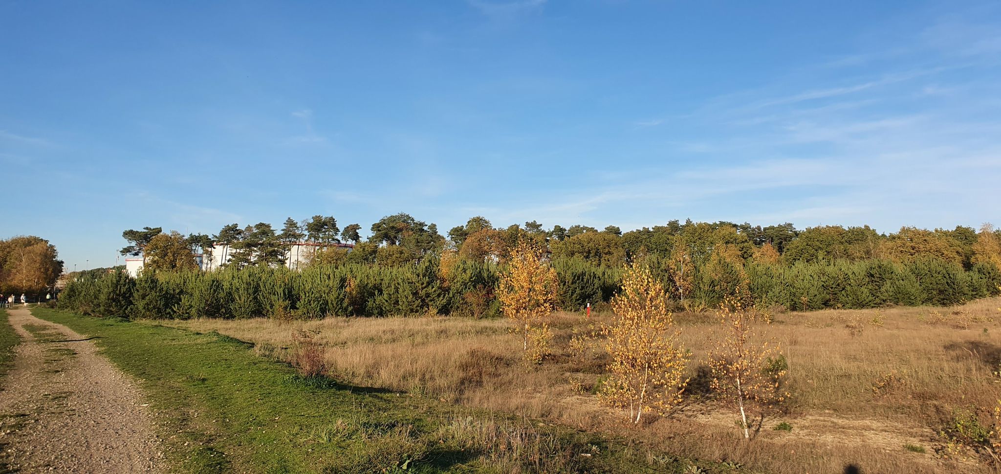 Groote Heide