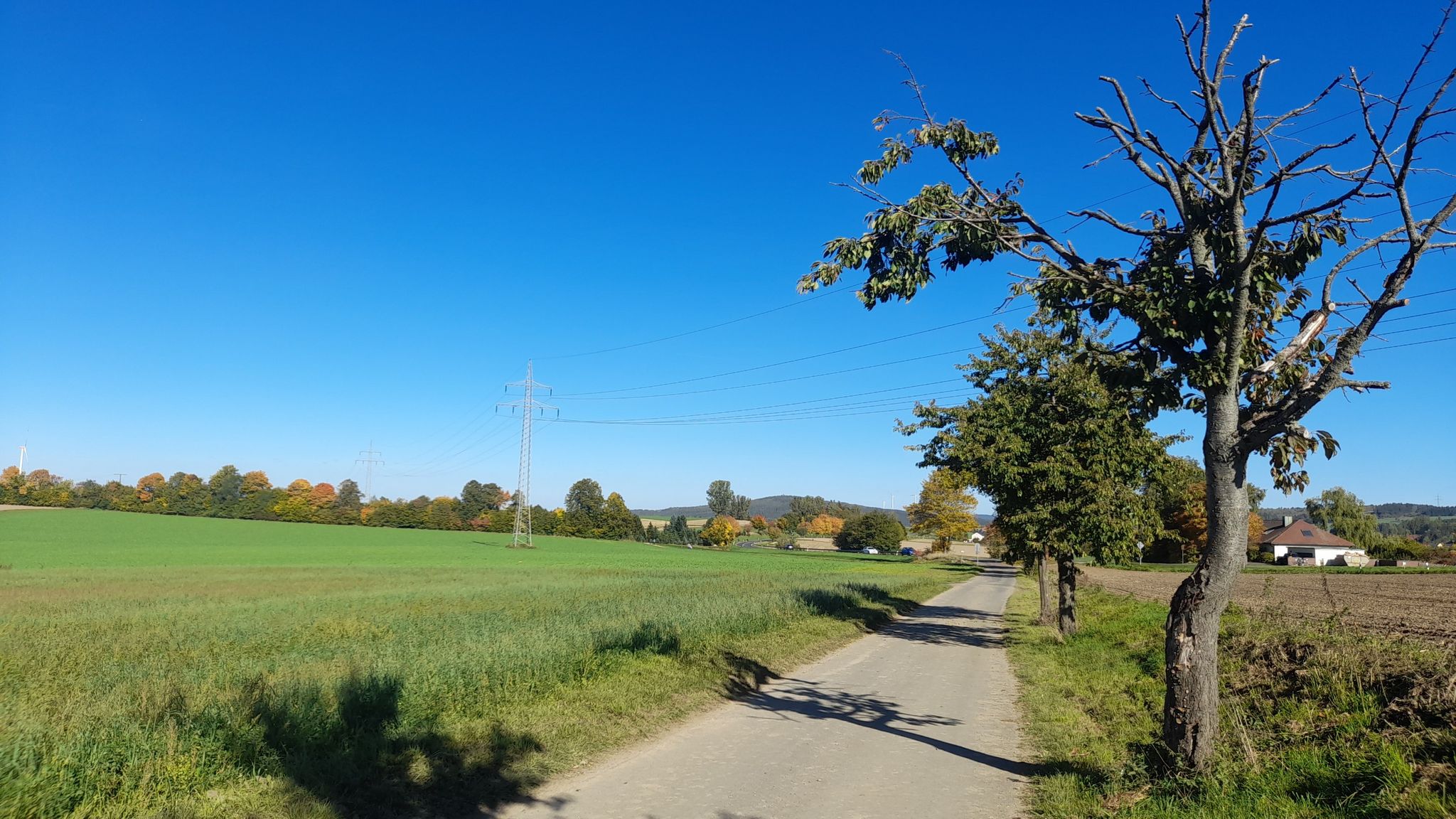 Zwischen Hammerberg und Brand