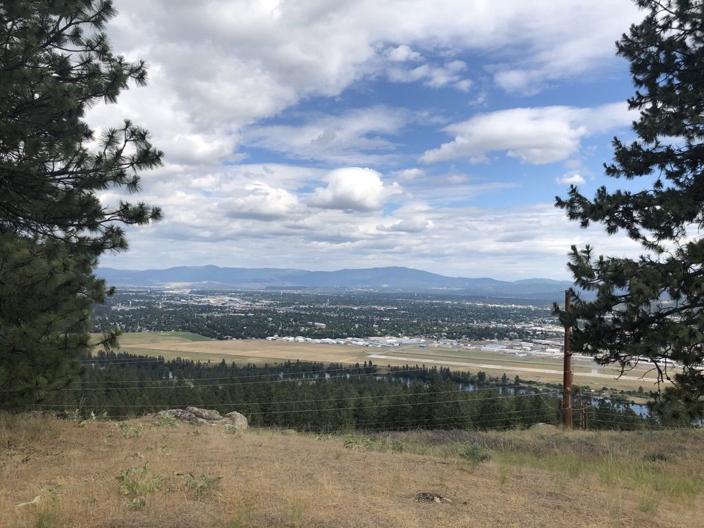 Panoramic view of a city and airport framed by trees under a cloudy sky. - Esmeralda Trail Loop