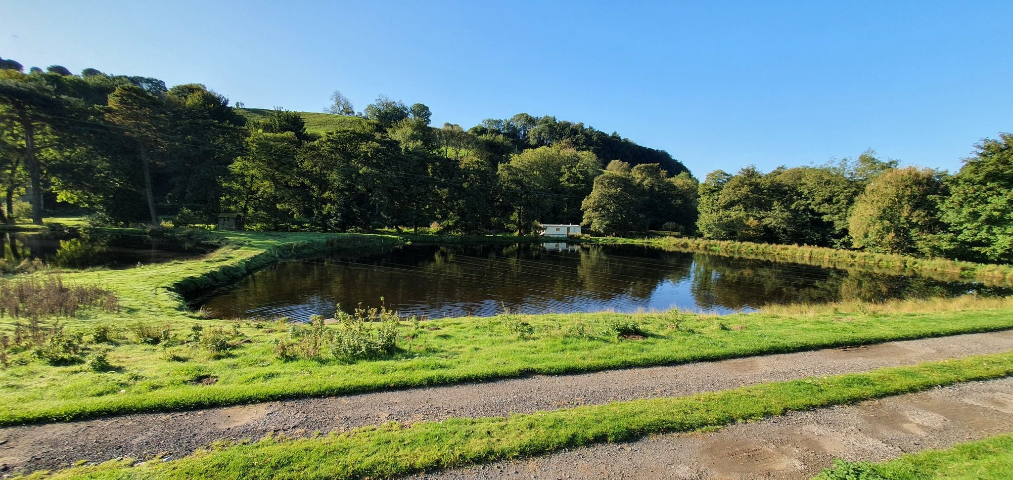 Trout lakes