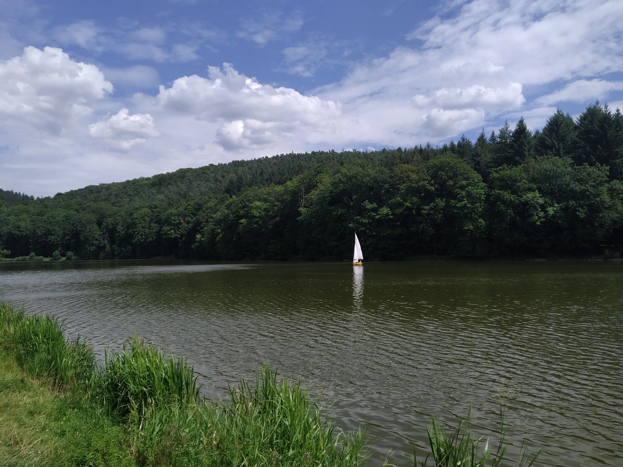 Haunesee