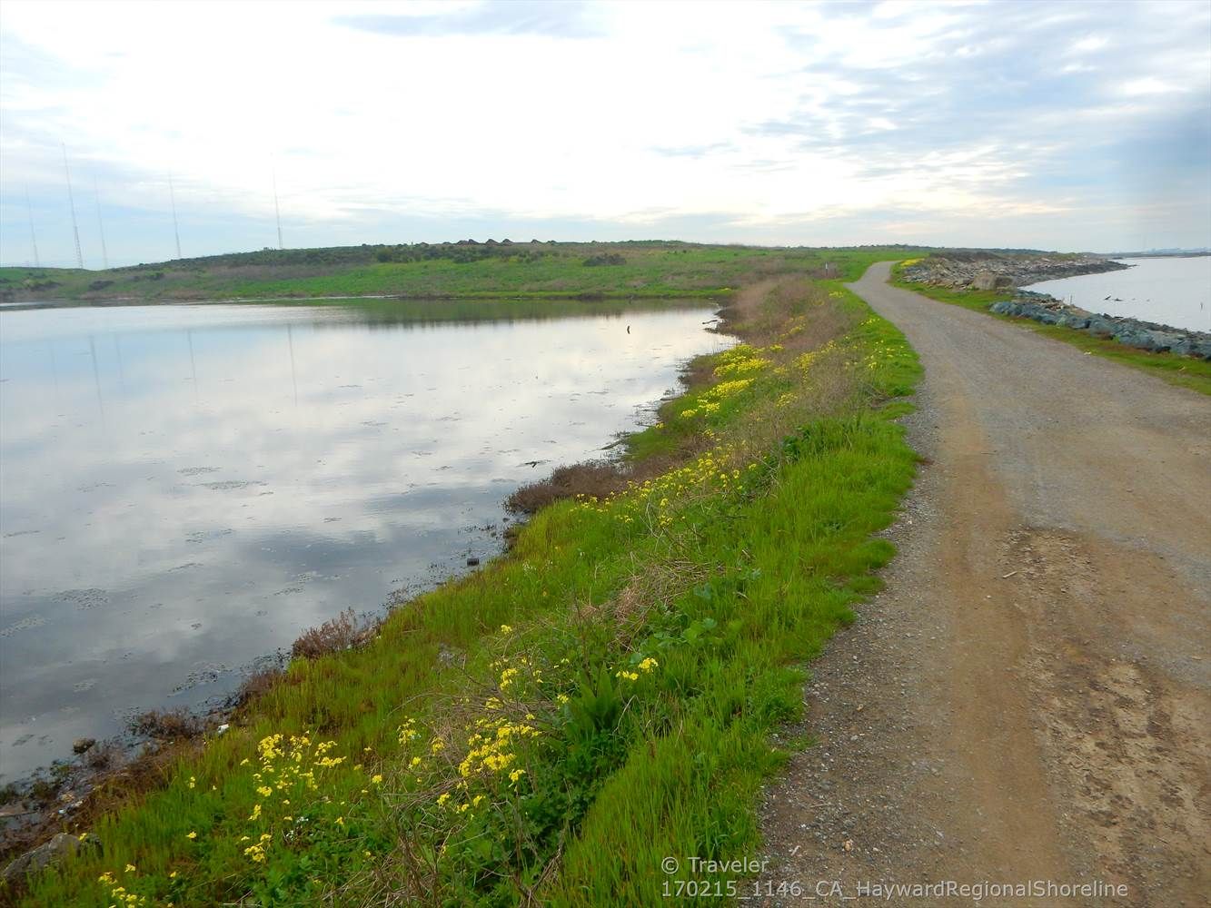 A dirt path runs alongside calm water with green banks under a cloudy sky. - SF Bay Trail: Cogswell Marsh to Roberts Landing