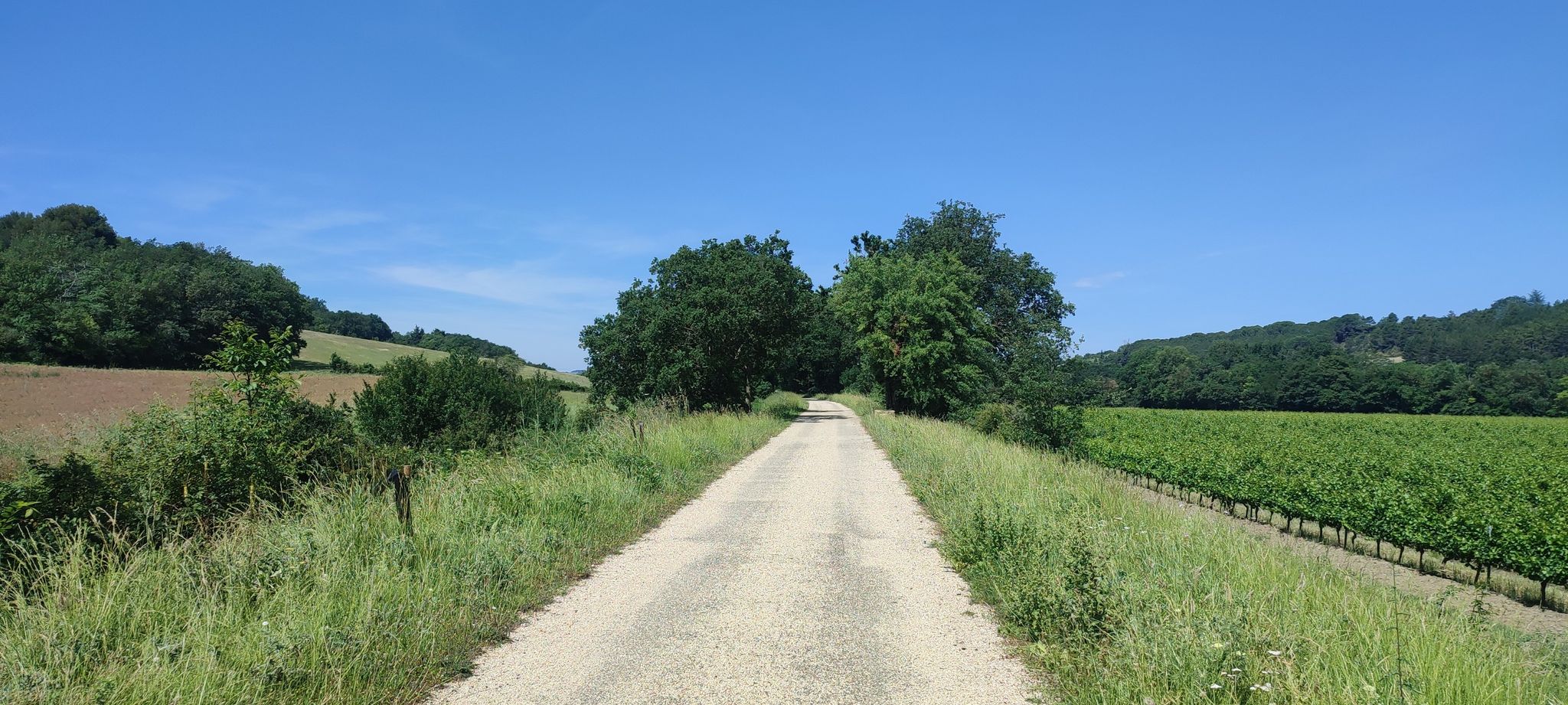 Landschaft am Bahntrassenradweg nach Lavelanet