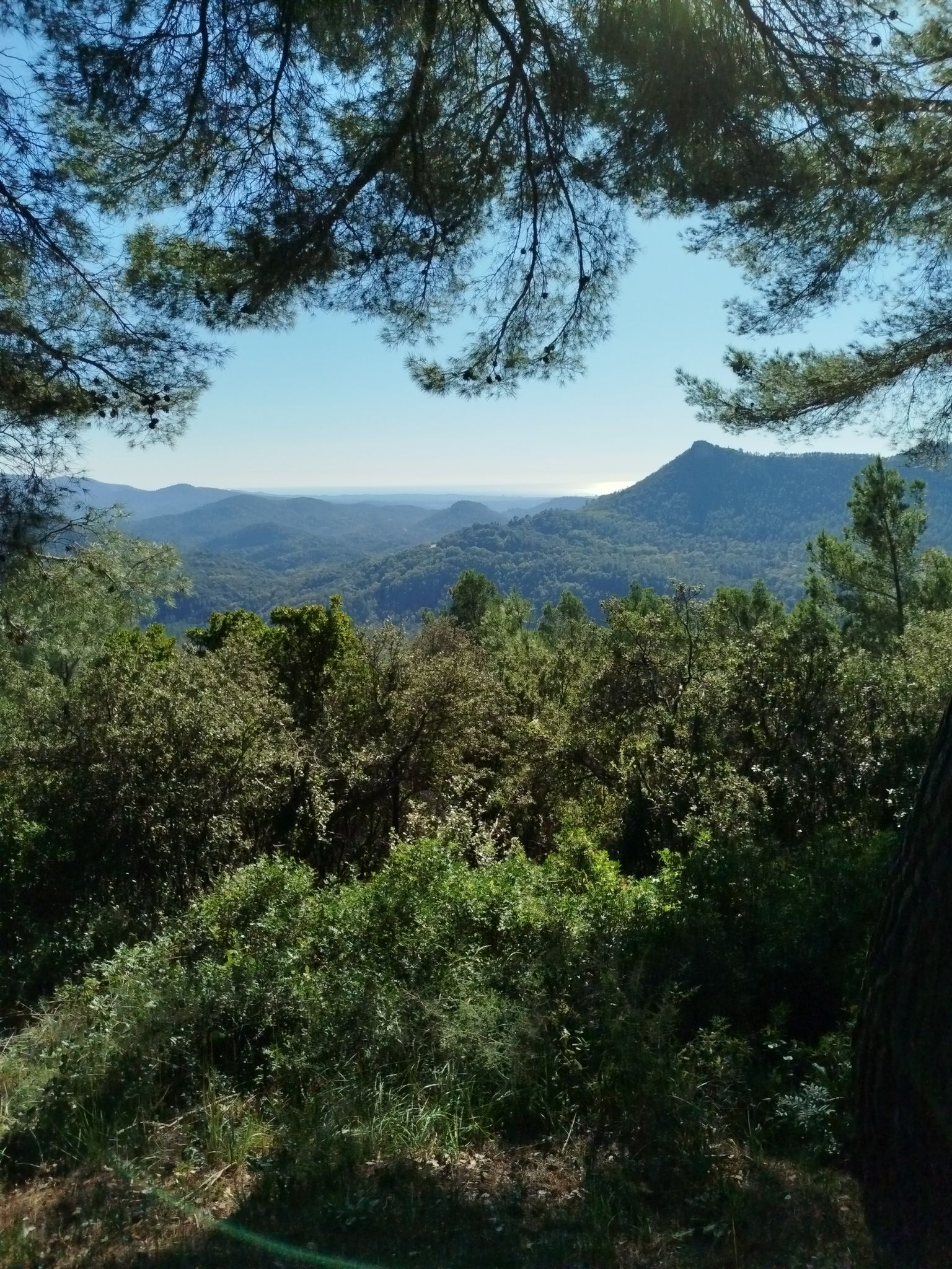 Bagnols en foret