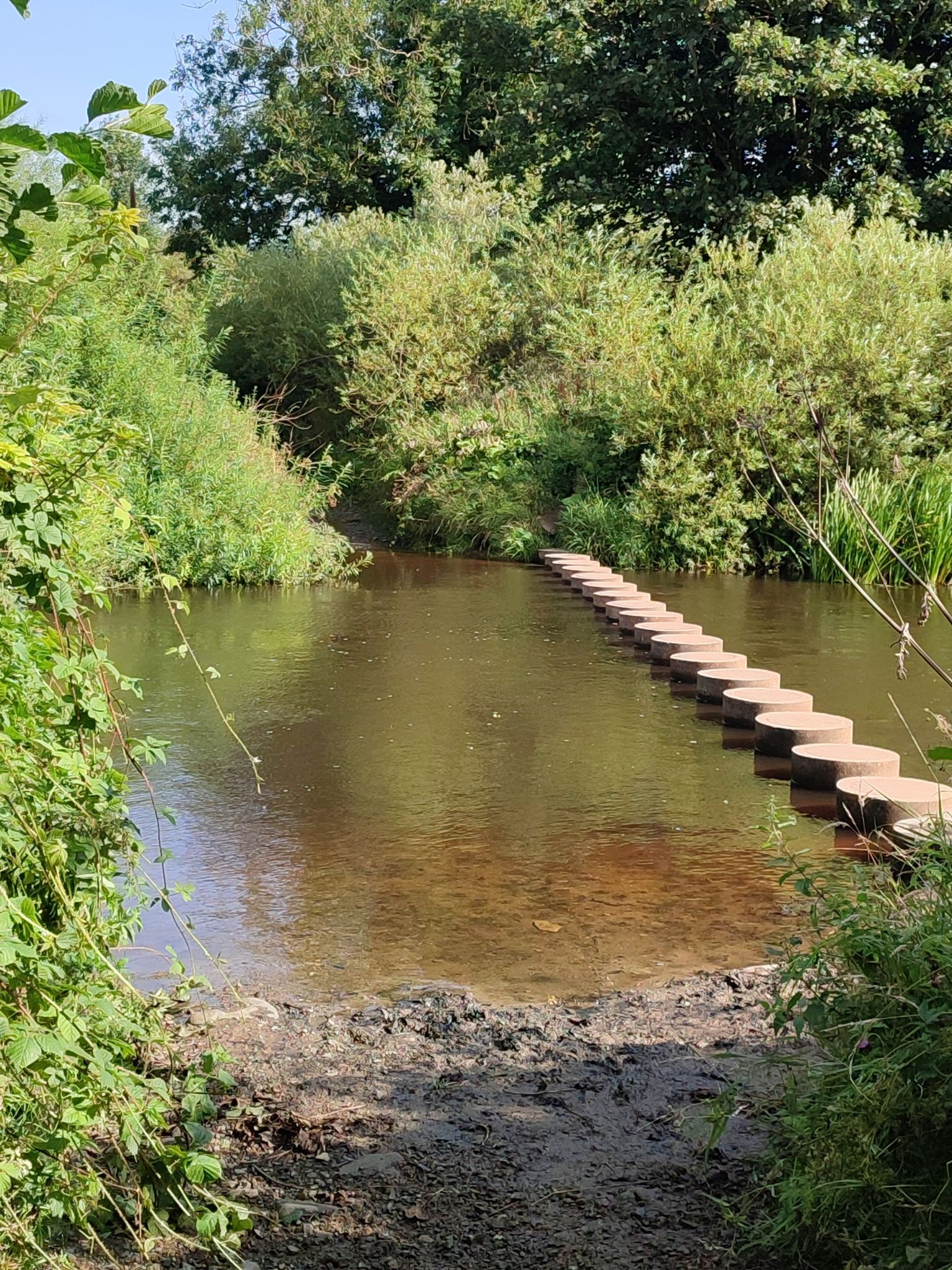 Aln stepping stones