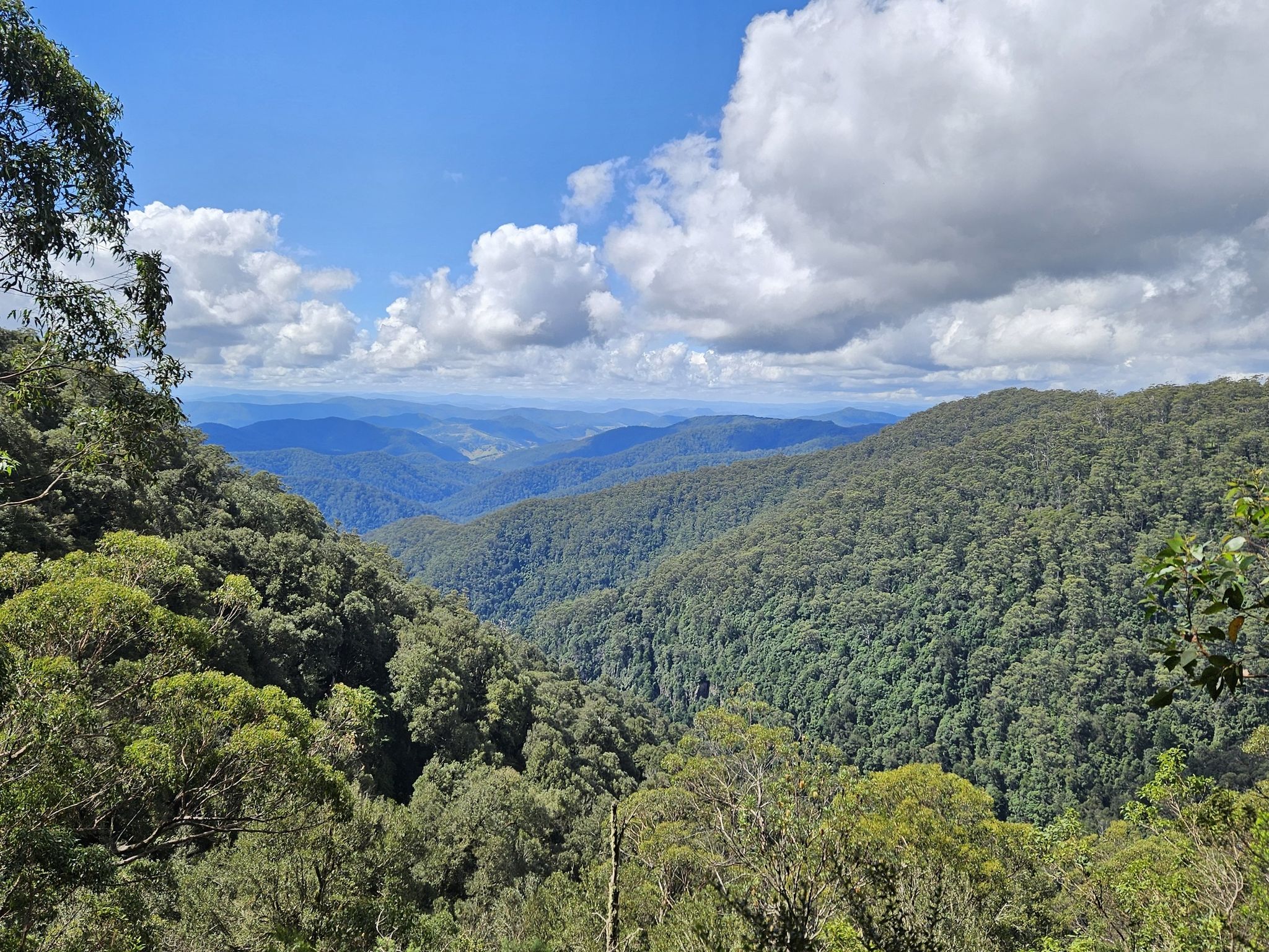Andrew Laurie Lookout