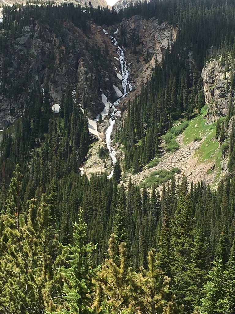 A tall waterfall plunges down a rocky mountain face amidst dense pine trees. - Arapaho Pass Trail