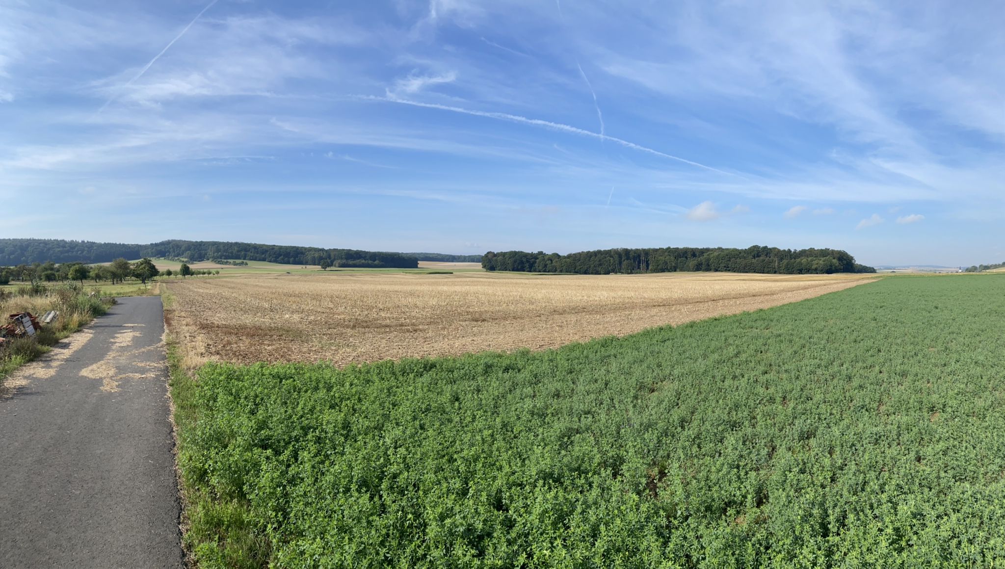 Panoramablick Bettenhausen
